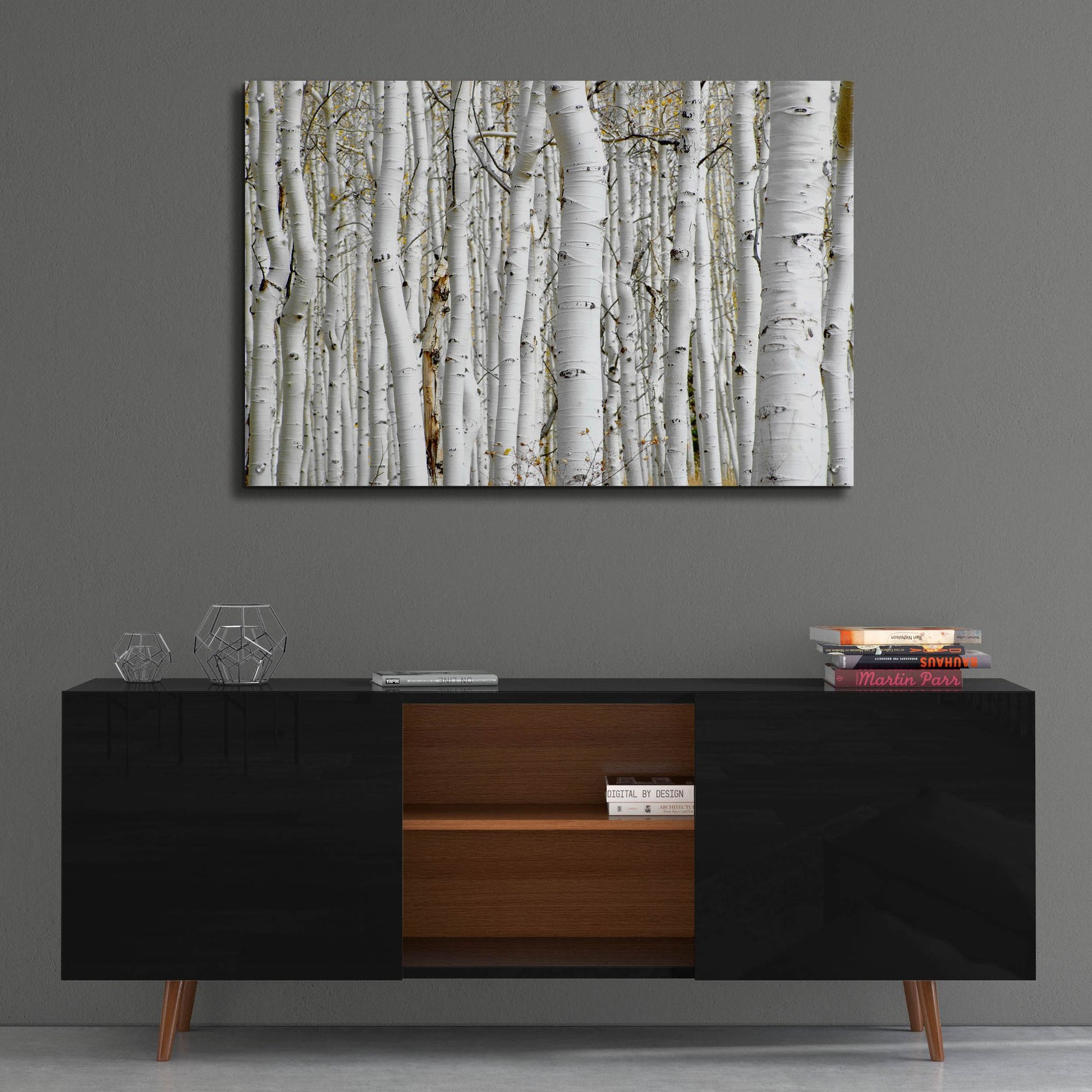 Epic Art 'Birch Wood' by Photoinc Studio, Acrylic Glass Wall Art,36x24