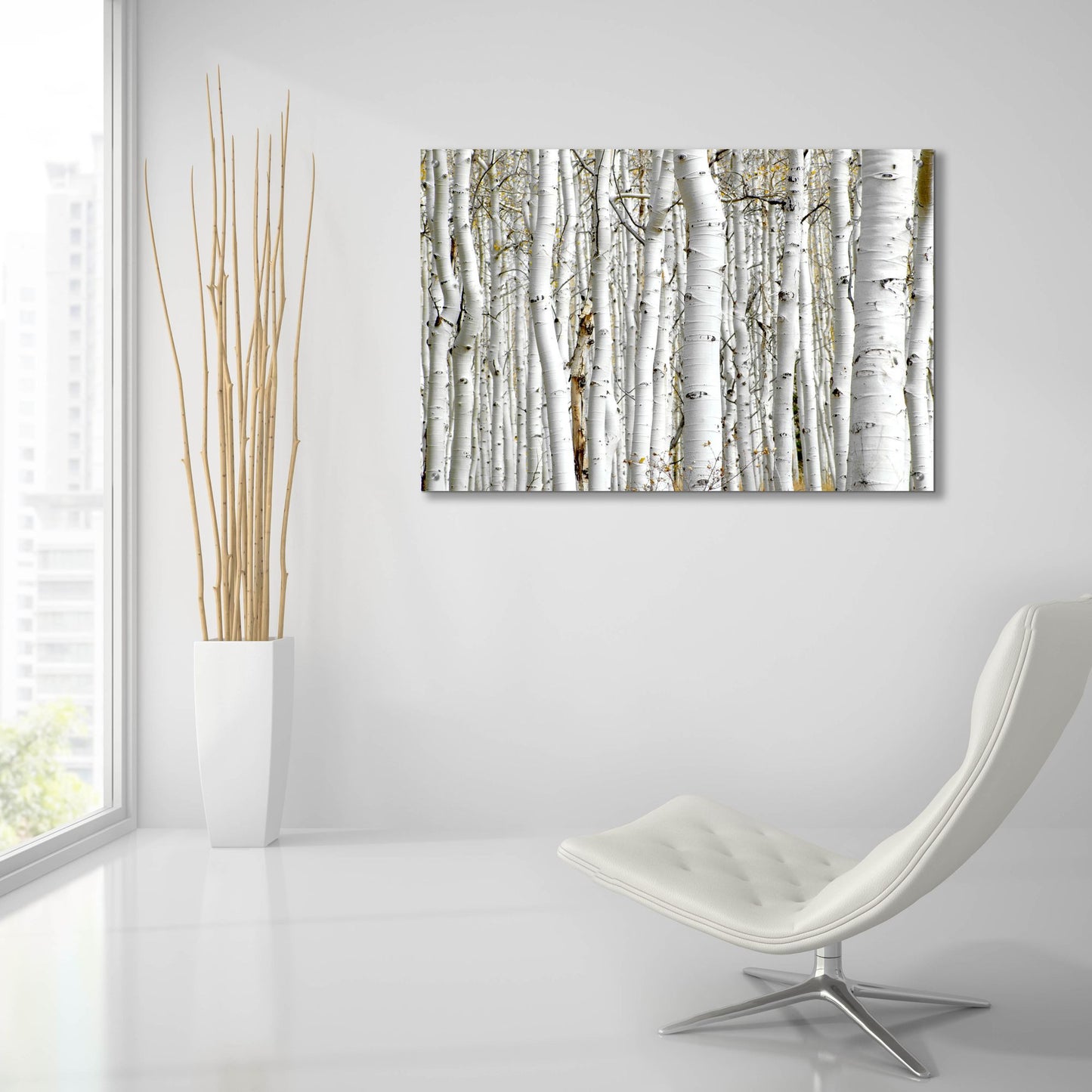 Epic Art 'Birch Wood' by Photoinc Studio, Acrylic Glass Wall Art,36x24