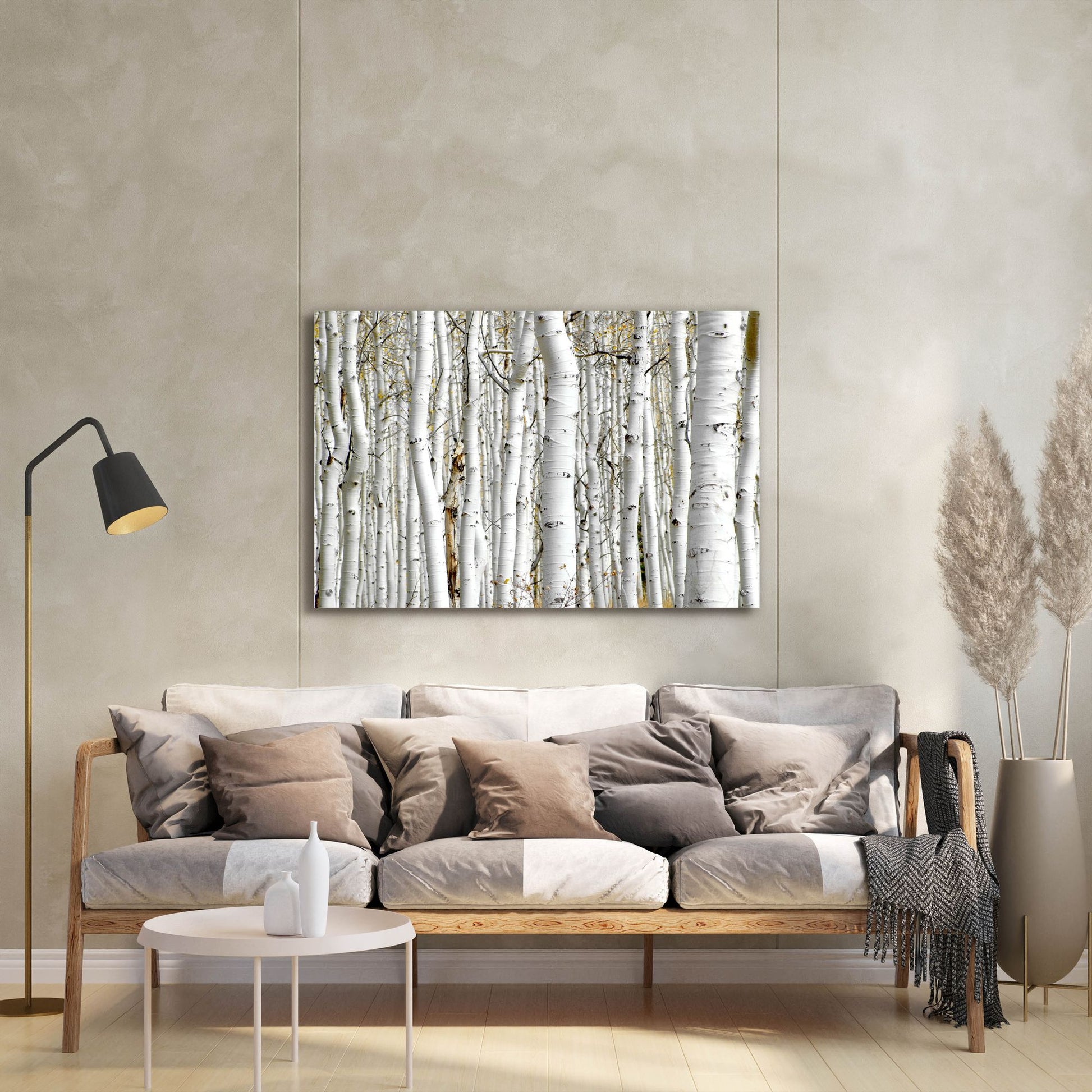 Epic Art 'Birch Wood' by Photoinc Studio, Acrylic Glass Wall Art,36x24