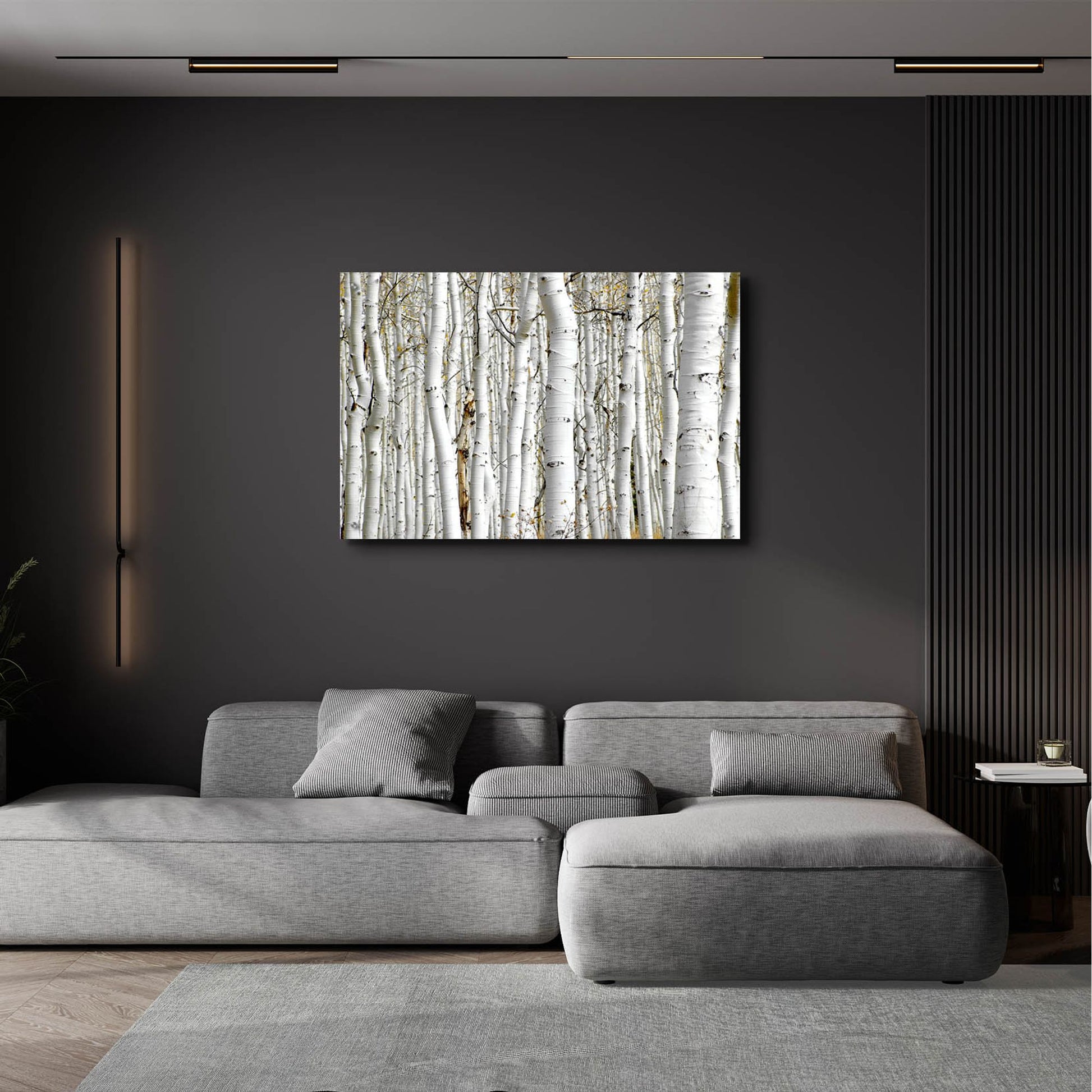 Epic Art 'Birch Wood' by Photoinc Studio, Acrylic Glass Wall Art,36x24