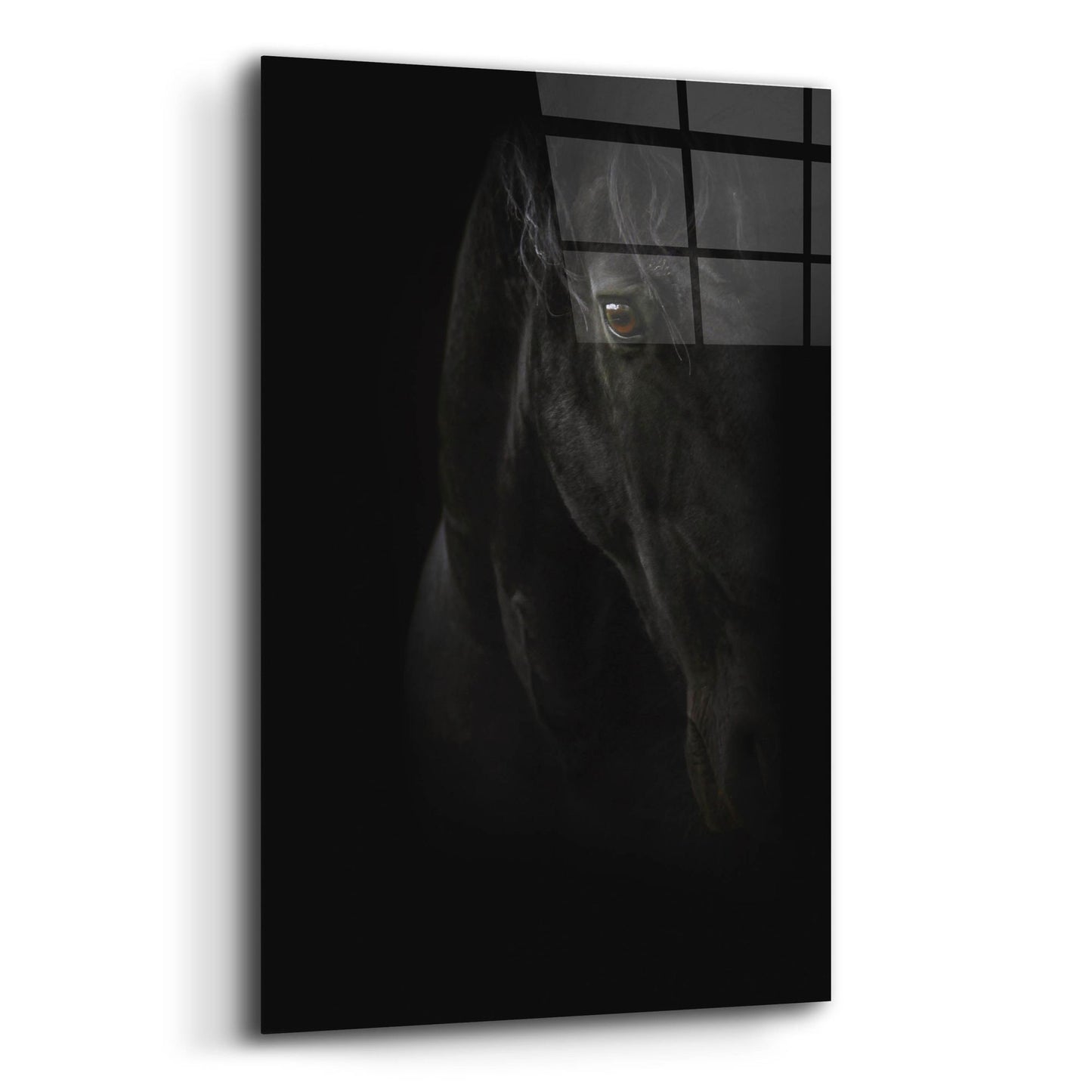 Epic Art 'Black Pearl' by Photoinc Studio, Acrylic Glass Wall Art,12x16