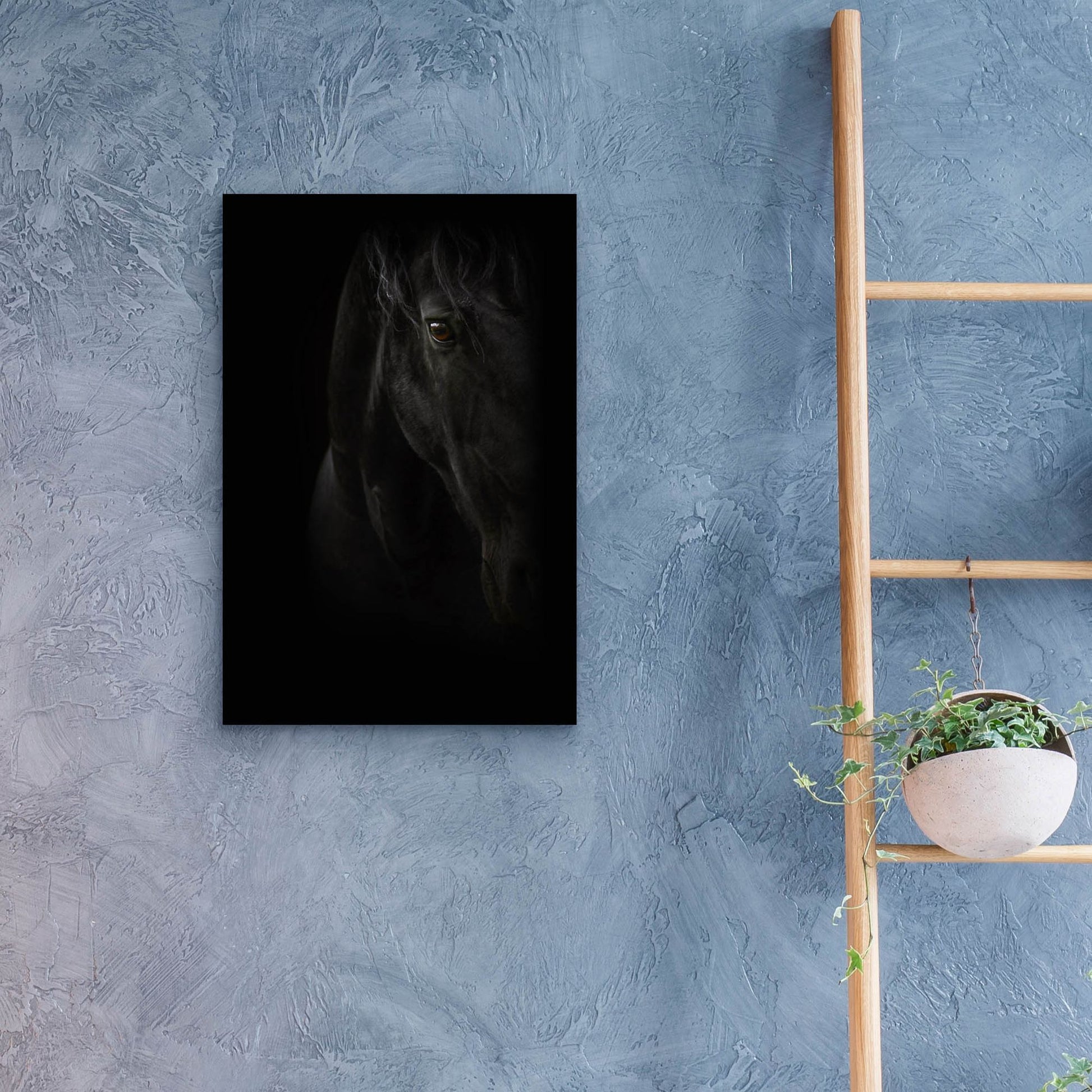 Epic Art 'Black Pearl' by Photoinc Studio, Acrylic Glass Wall Art,16x24