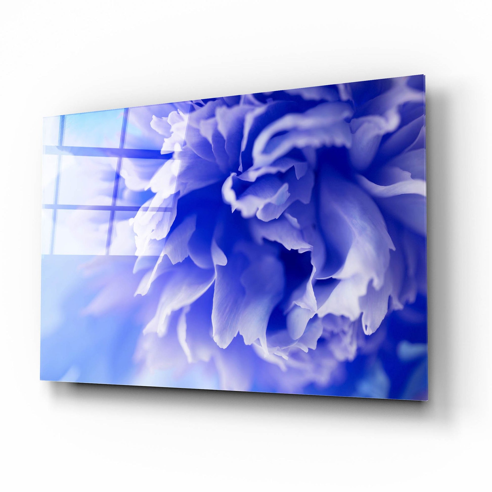 Epic Art 'Blue Flower' by Photoinc Studio, Acrylic Glass Wall Art,16x12