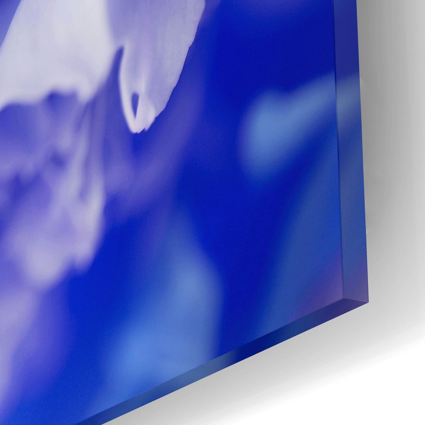 Epic Art 'Blue Flower' by Photoinc Studio, Acrylic Glass Wall Art,16x12