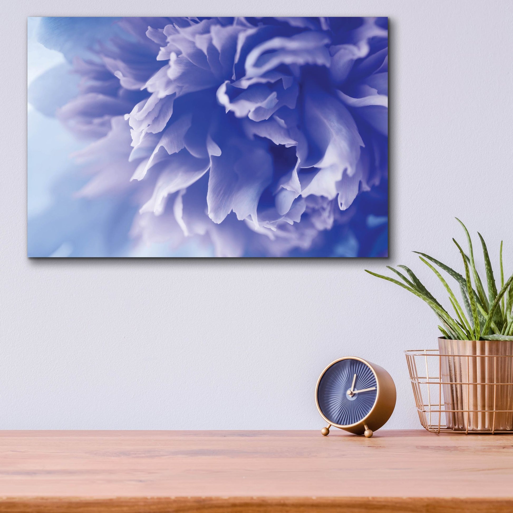 Epic Art 'Blue Flower' by Photoinc Studio, Acrylic Glass Wall Art,16x12