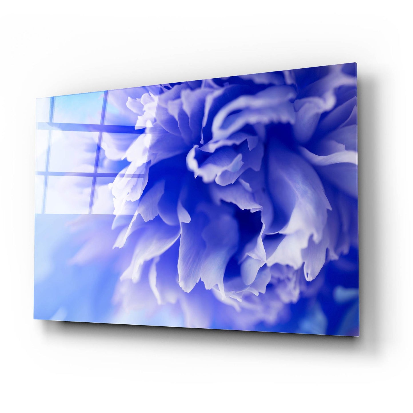 Epic Art 'Blue Flower' by Photoinc Studio, Acrylic Glass Wall Art,24x16