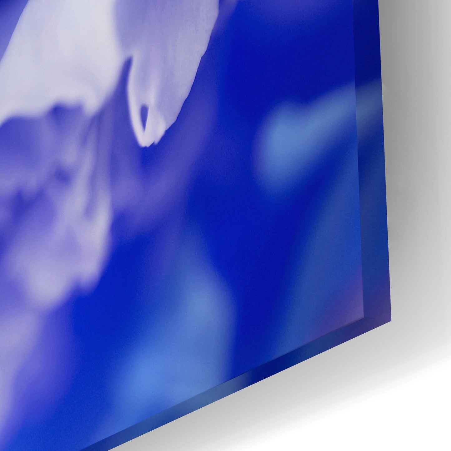 Epic Art 'Blue Flower' by Photoinc Studio, Acrylic Glass Wall Art,24x16