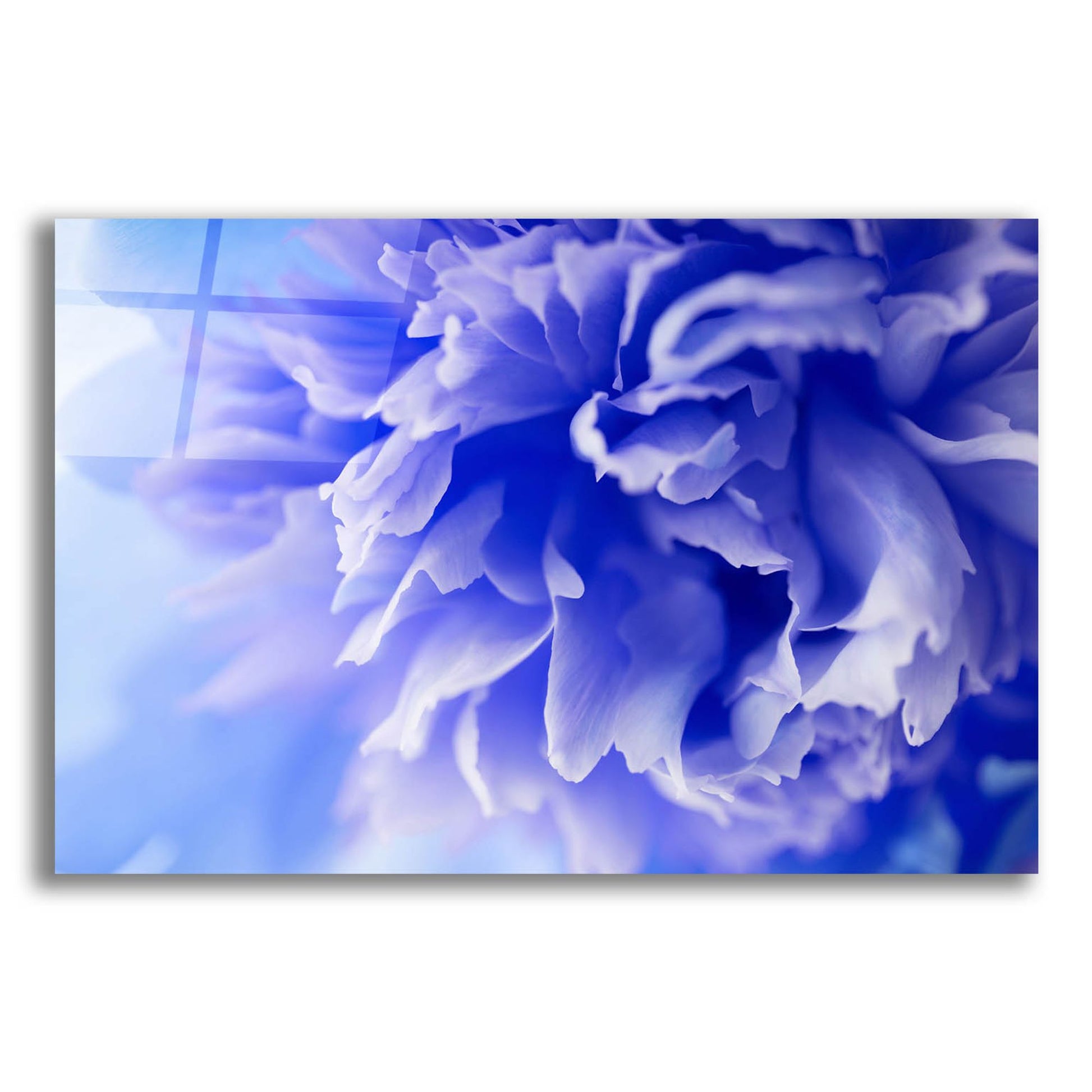 Epic Art 'Blue Flower' by Photoinc Studio, Acrylic Glass Wall Art