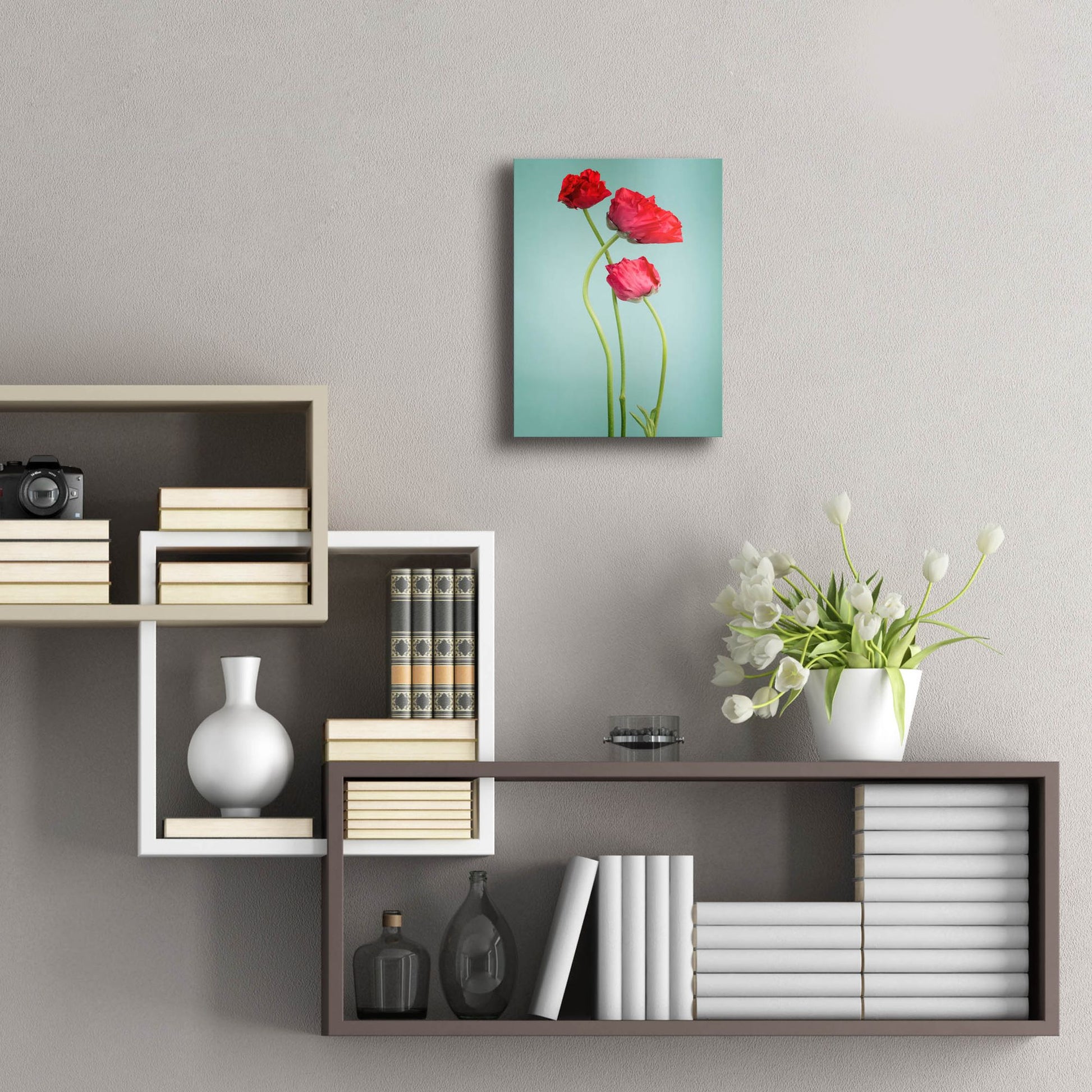 Epic Art 'Blue Poppy' by Photoinc Studio, Acrylic Glass Wall Art,12x16