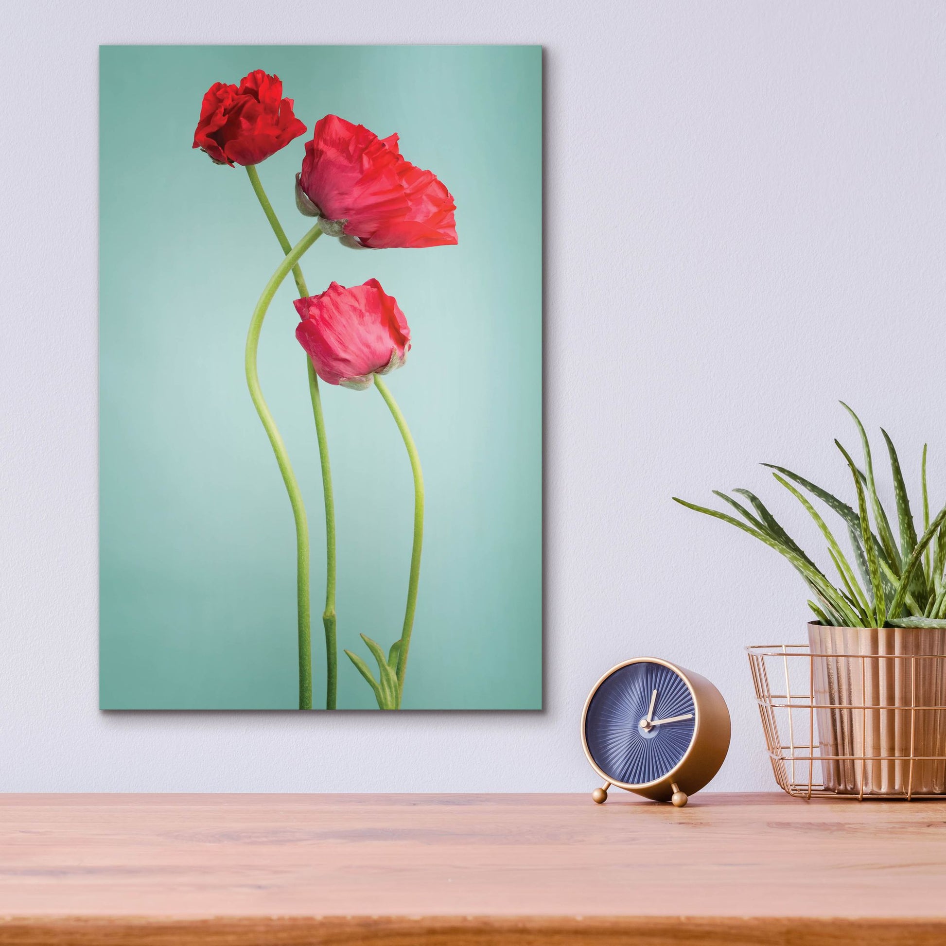 Epic Art 'Blue Poppy' by Photoinc Studio, Acrylic Glass Wall Art,12x16