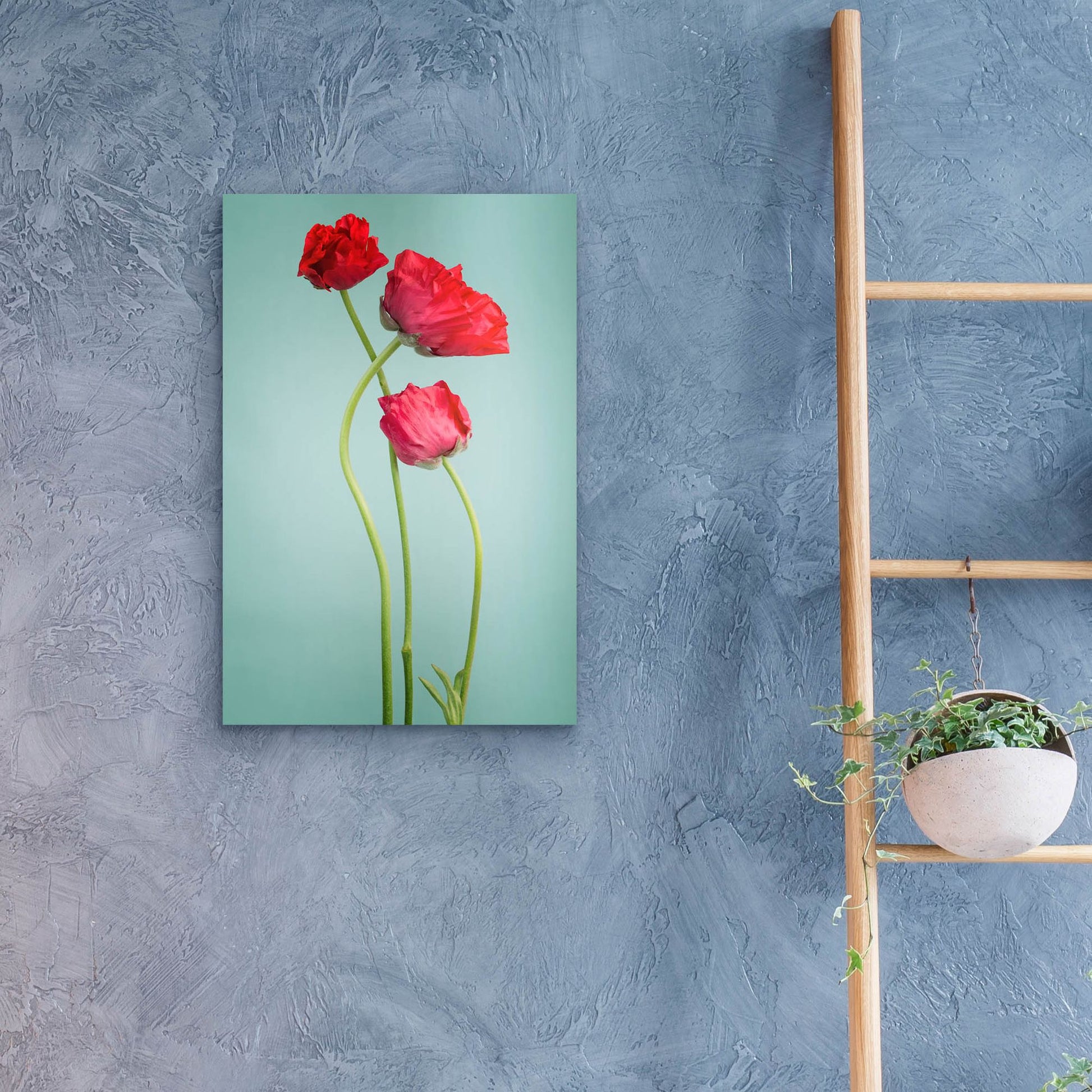 Epic Art 'Blue Poppy' by Photoinc Studio, Acrylic Glass Wall Art,16x24