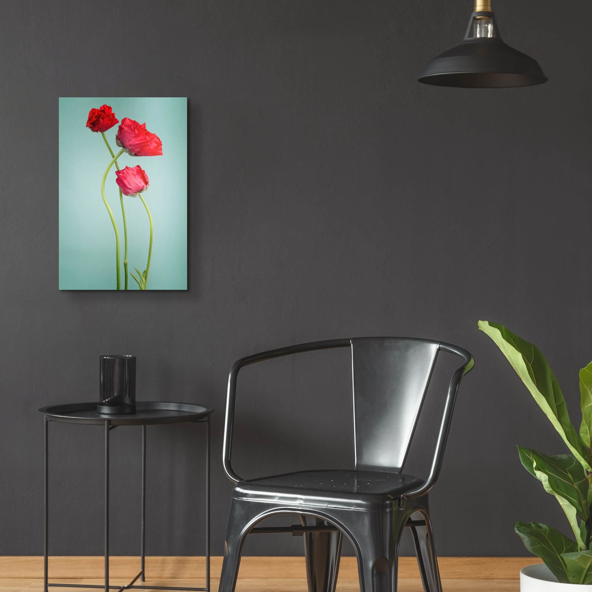 Epic Art 'Blue Poppy' by Photoinc Studio, Acrylic Glass Wall Art,16x24