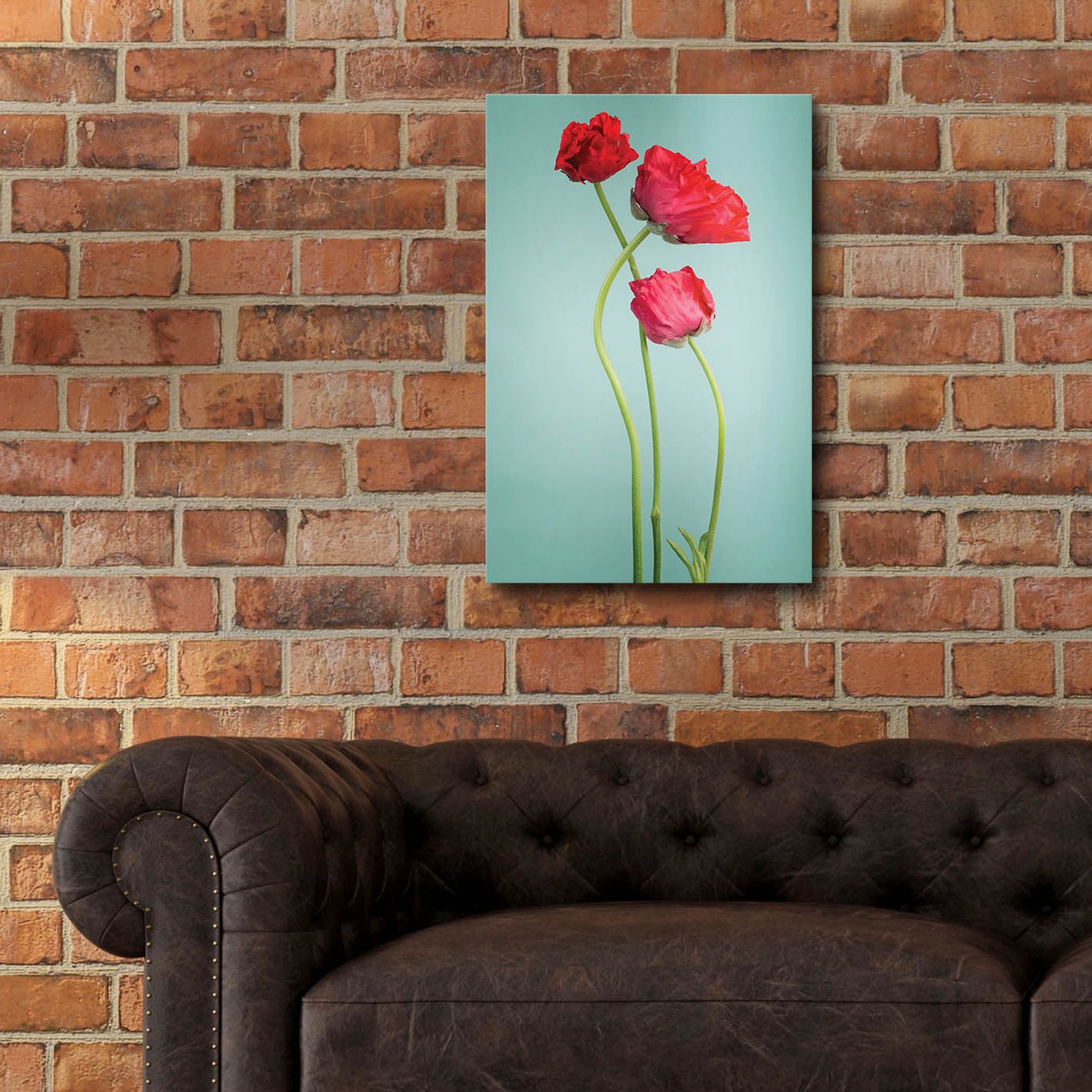 Epic Art 'Blue Poppy' by Photoinc Studio, Acrylic Glass Wall Art,16x24