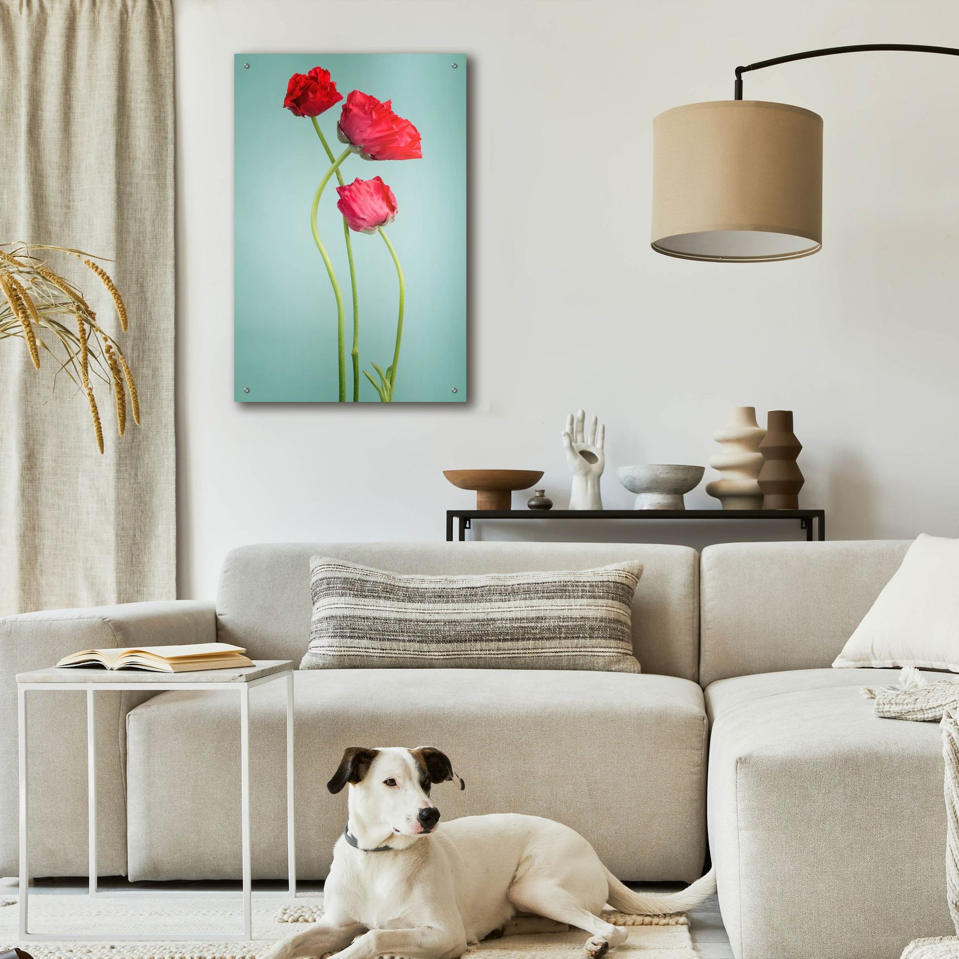 Epic Art 'Blue Poppy' by Photoinc Studio, Acrylic Glass Wall Art,24x36