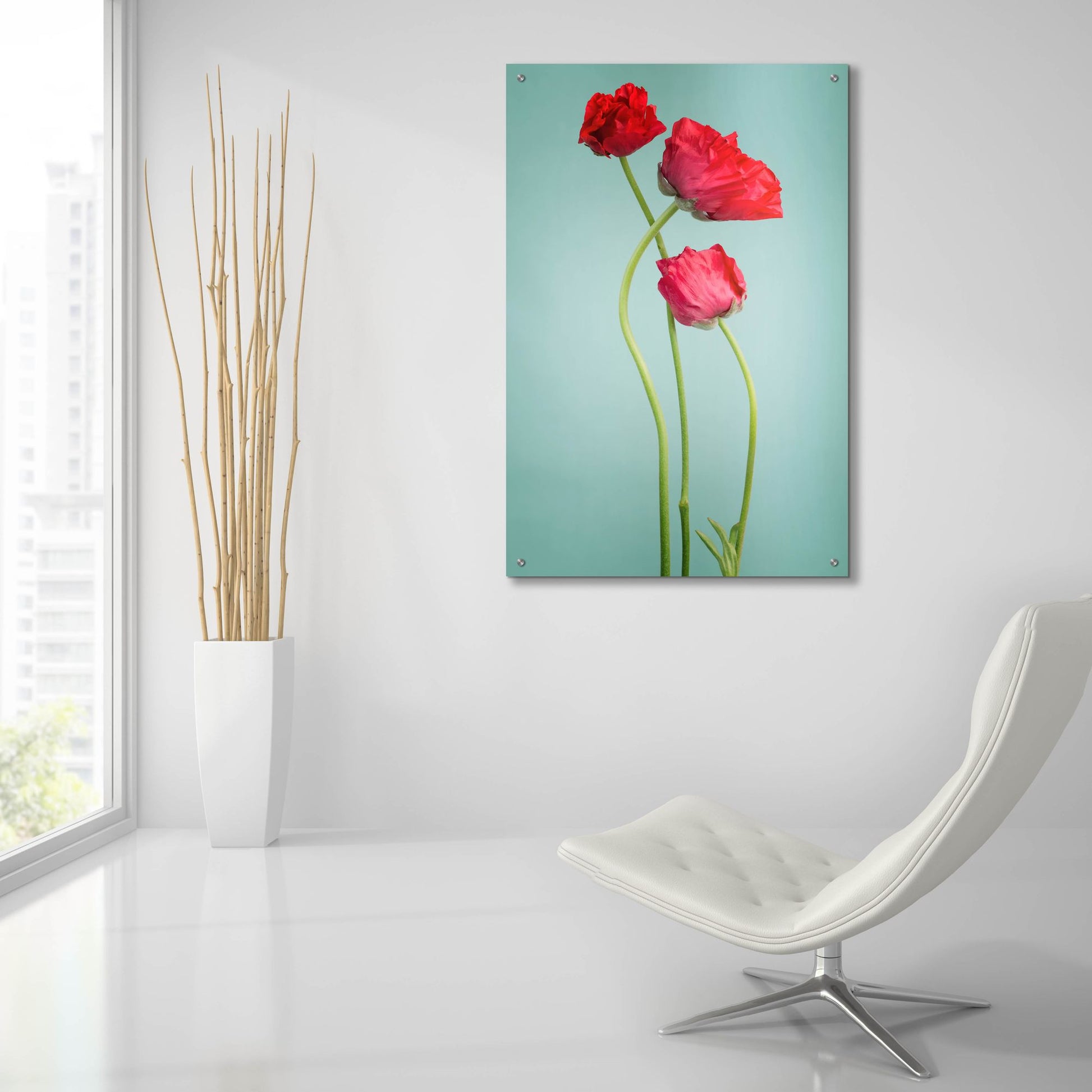 Epic Art 'Blue Poppy' by Photoinc Studio, Acrylic Glass Wall Art,24x36