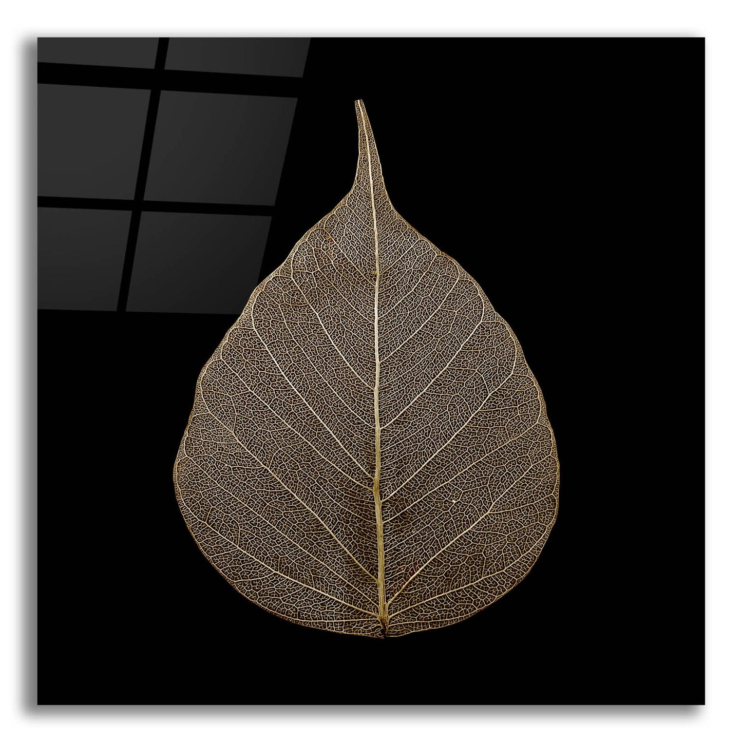 Epic Art 'Brown Leaf' by Photoinc Studio, Acrylic Glass Wall Art