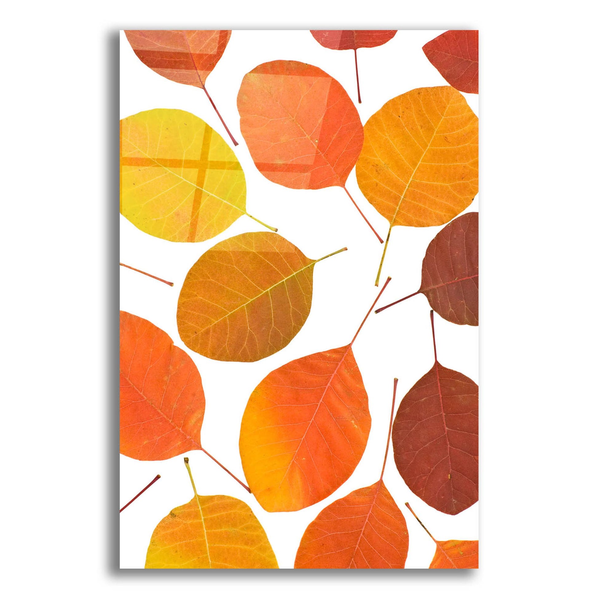 Epic Art 'Brown Leaves' by Photoinc Studio, Acrylic Glass Wall Art