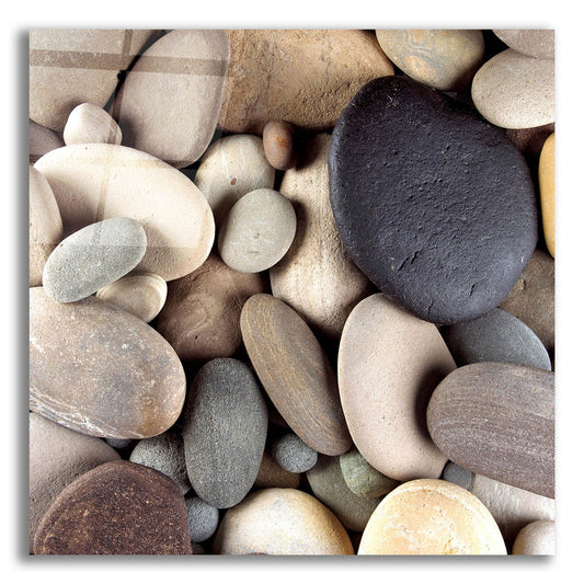 Epic Art 'Brown Pebbles' by Photoinc Studio, Acrylic Glass Wall Art