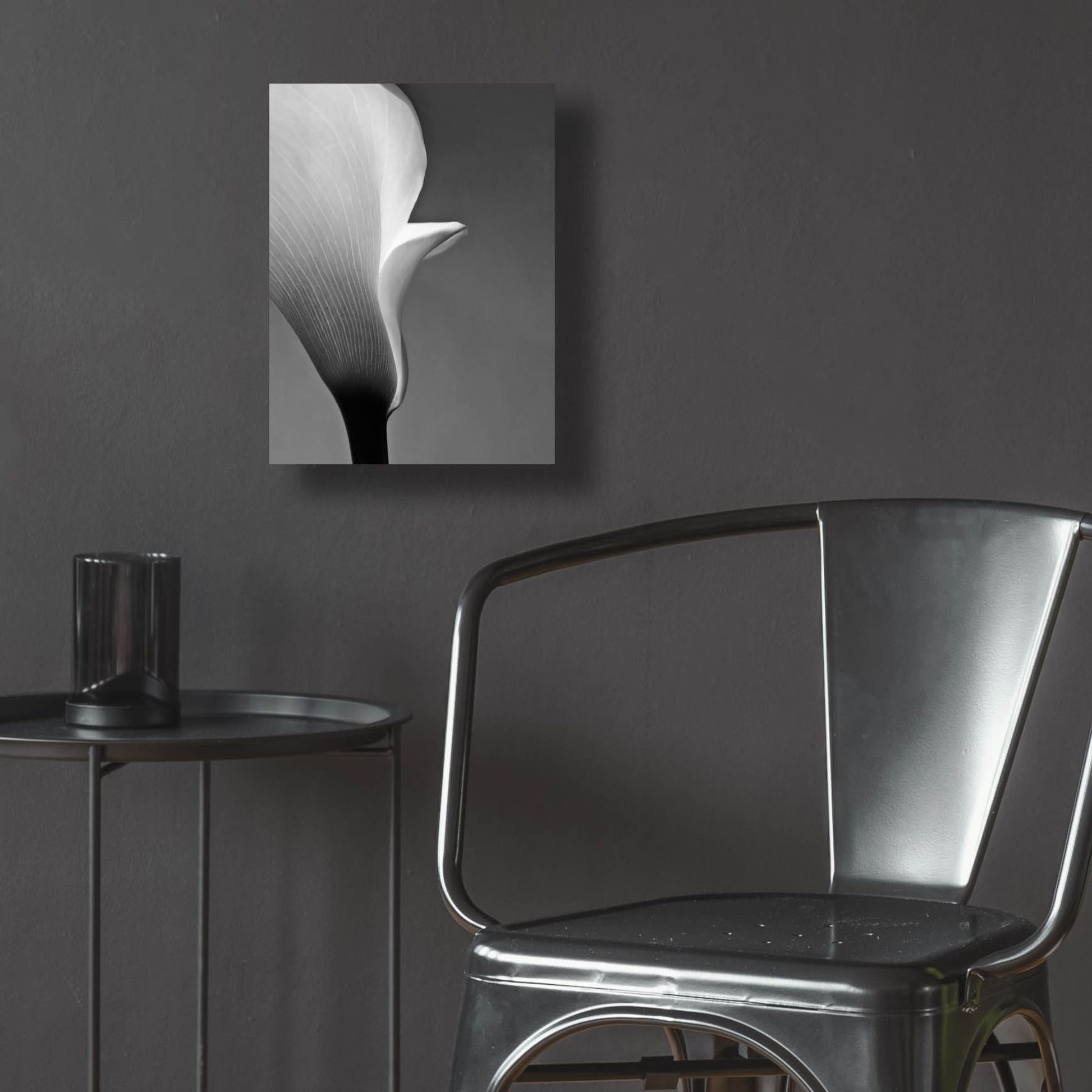 Epic Art 'Calla No. 5' by Photoinc Studio, Acrylic Glass Wall Art,12x16