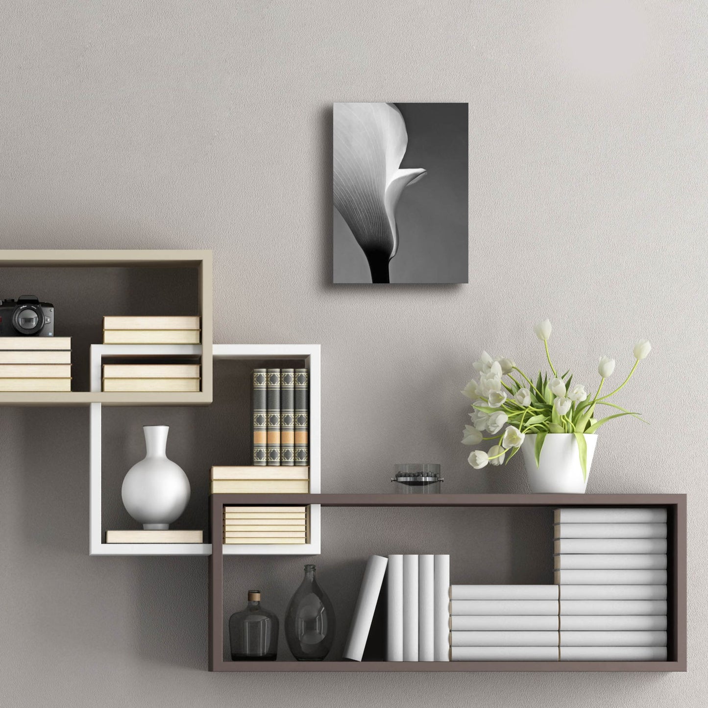 Epic Art 'Calla No. 5' by Photoinc Studio, Acrylic Glass Wall Art,12x16