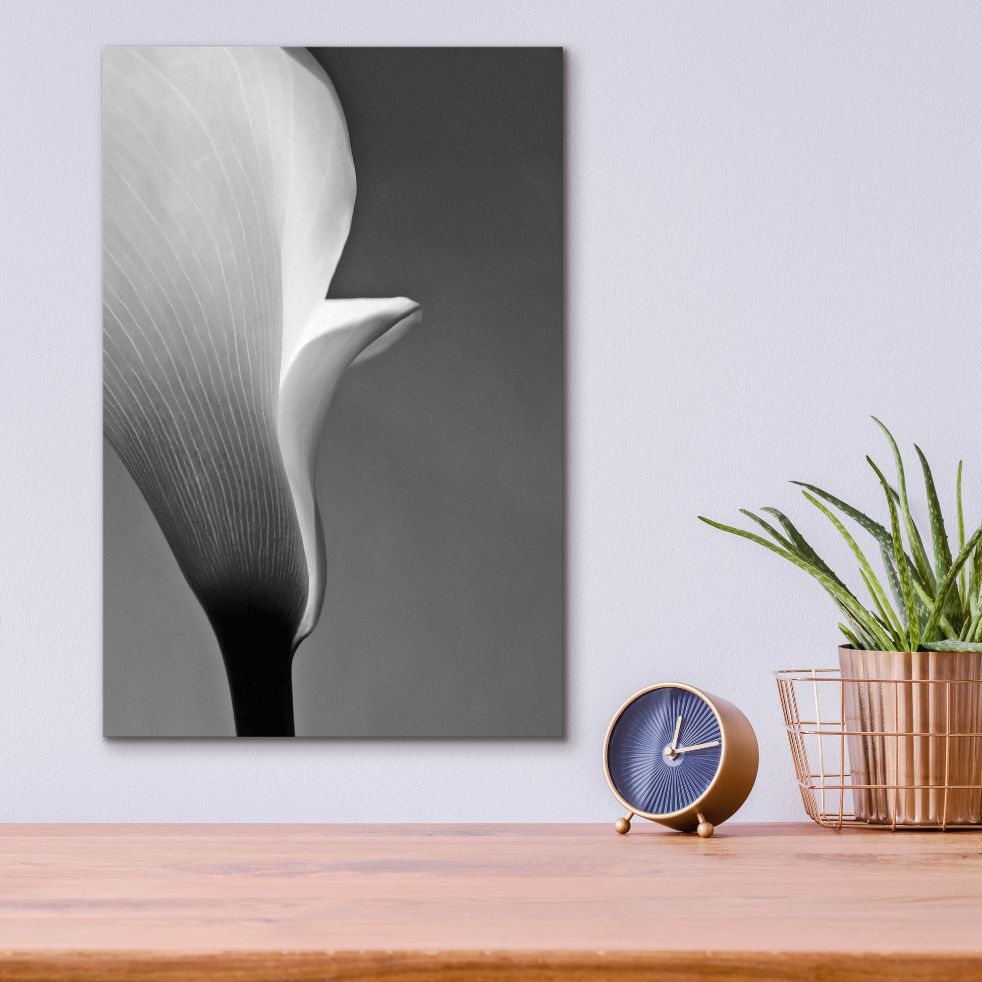 Epic Art 'Calla No. 5' by Photoinc Studio, Acrylic Glass Wall Art,12x16