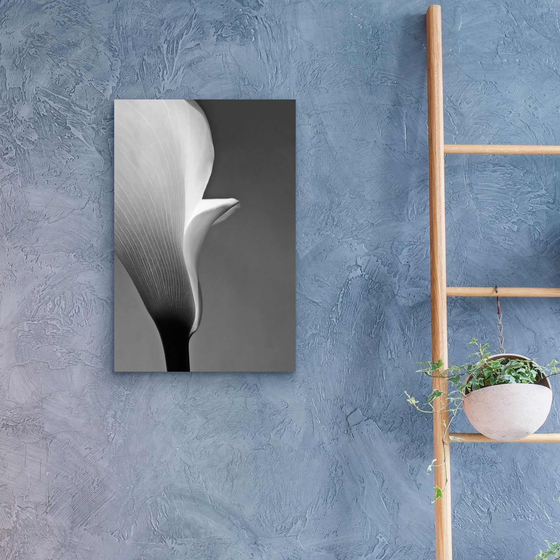 Epic Art 'Calla No. 5' by Photoinc Studio, Acrylic Glass Wall Art,16x24