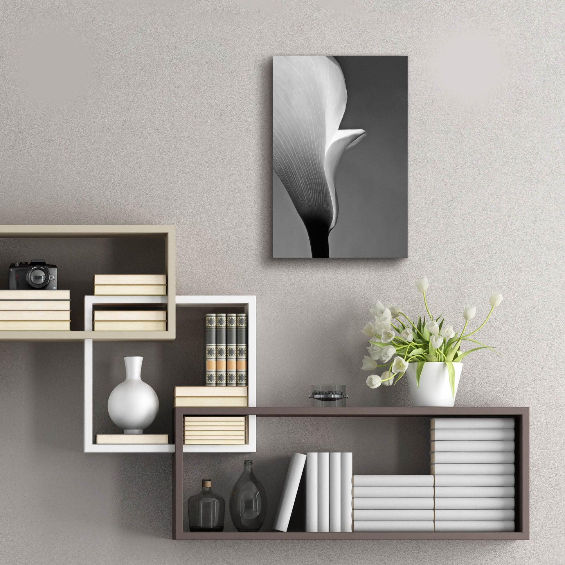 Epic Art 'Calla No. 5' by Photoinc Studio, Acrylic Glass Wall Art,16x24