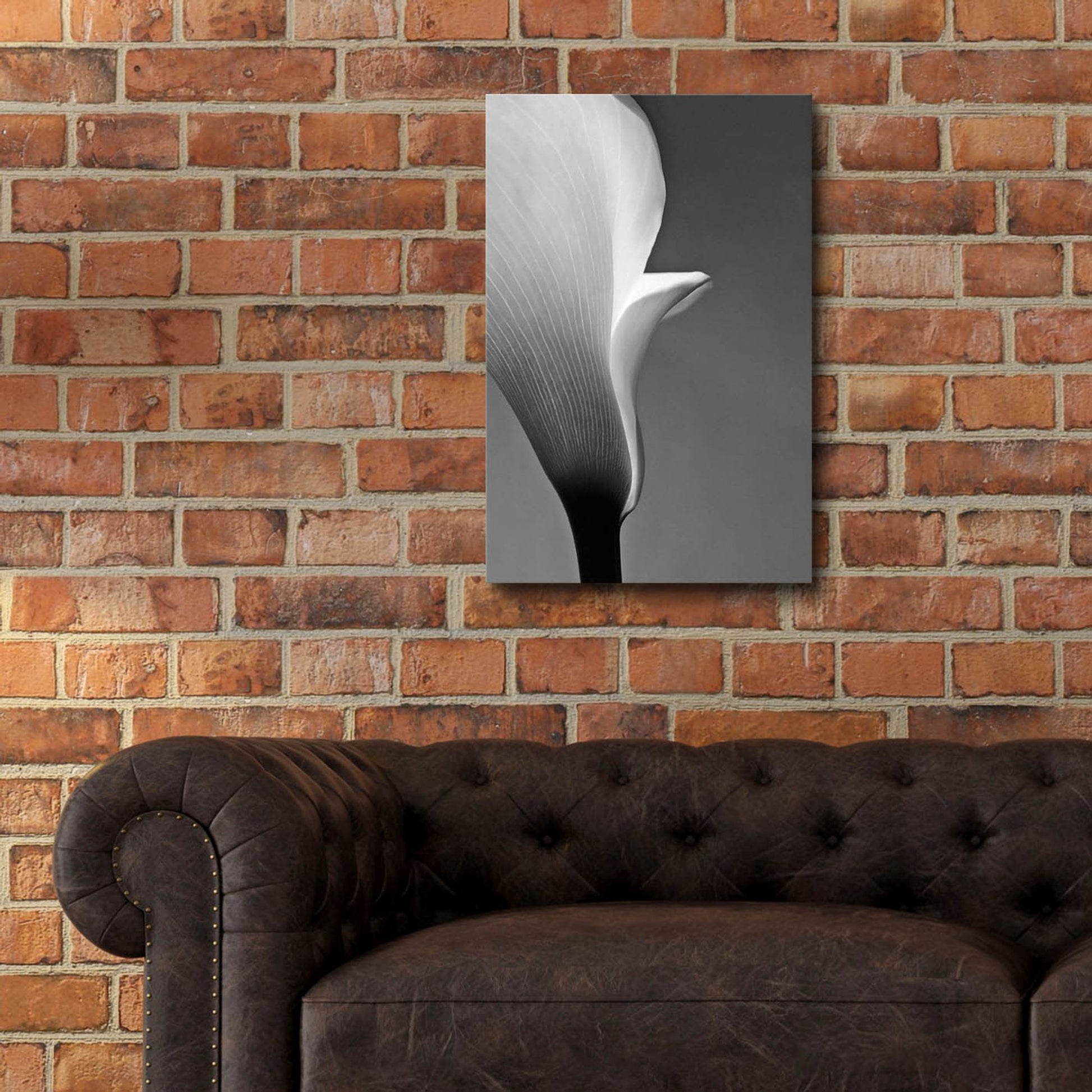 Epic Art 'Calla No. 5' by Photoinc Studio, Acrylic Glass Wall Art,16x24