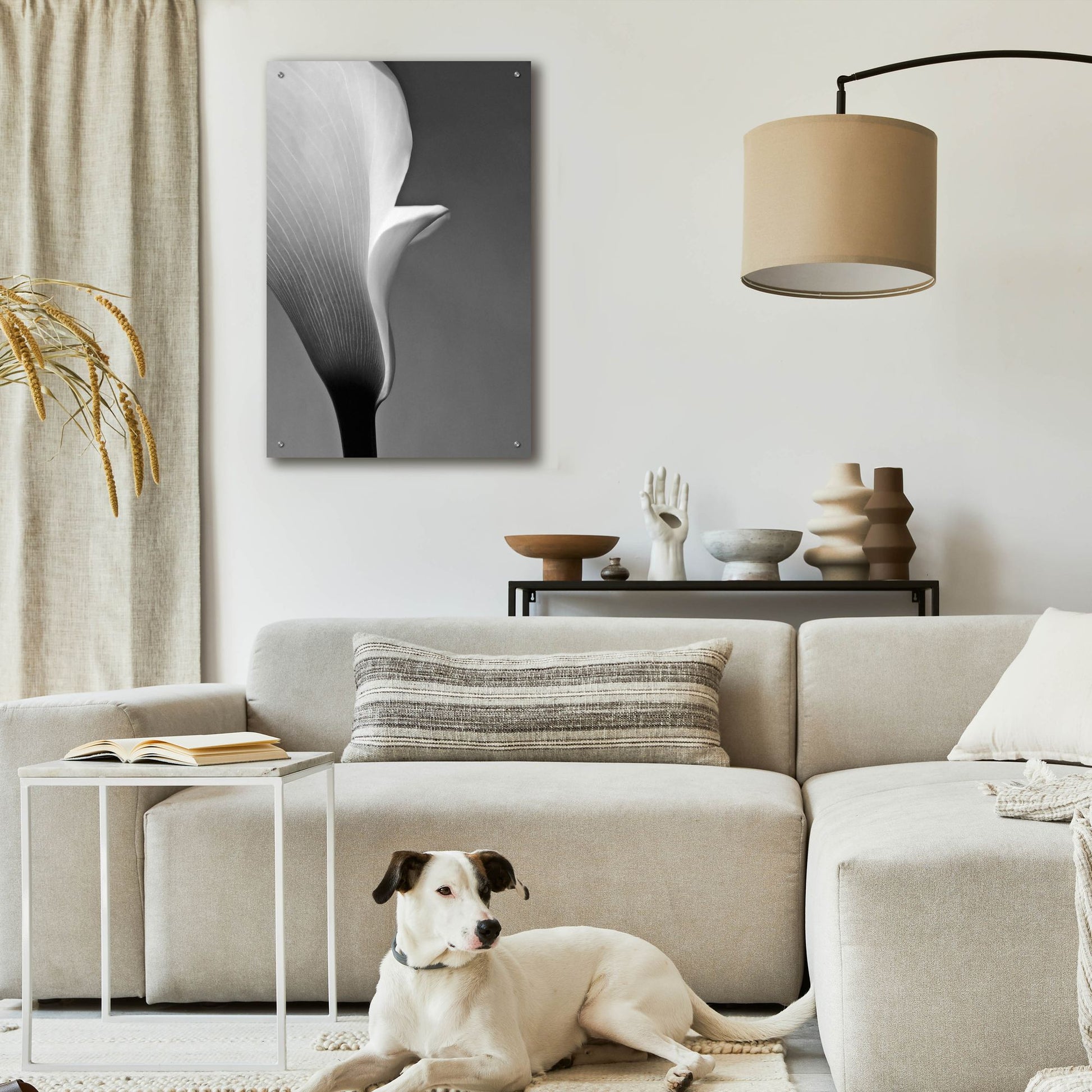 Epic Art 'Calla No. 5' by Photoinc Studio, Acrylic Glass Wall Art,24x36