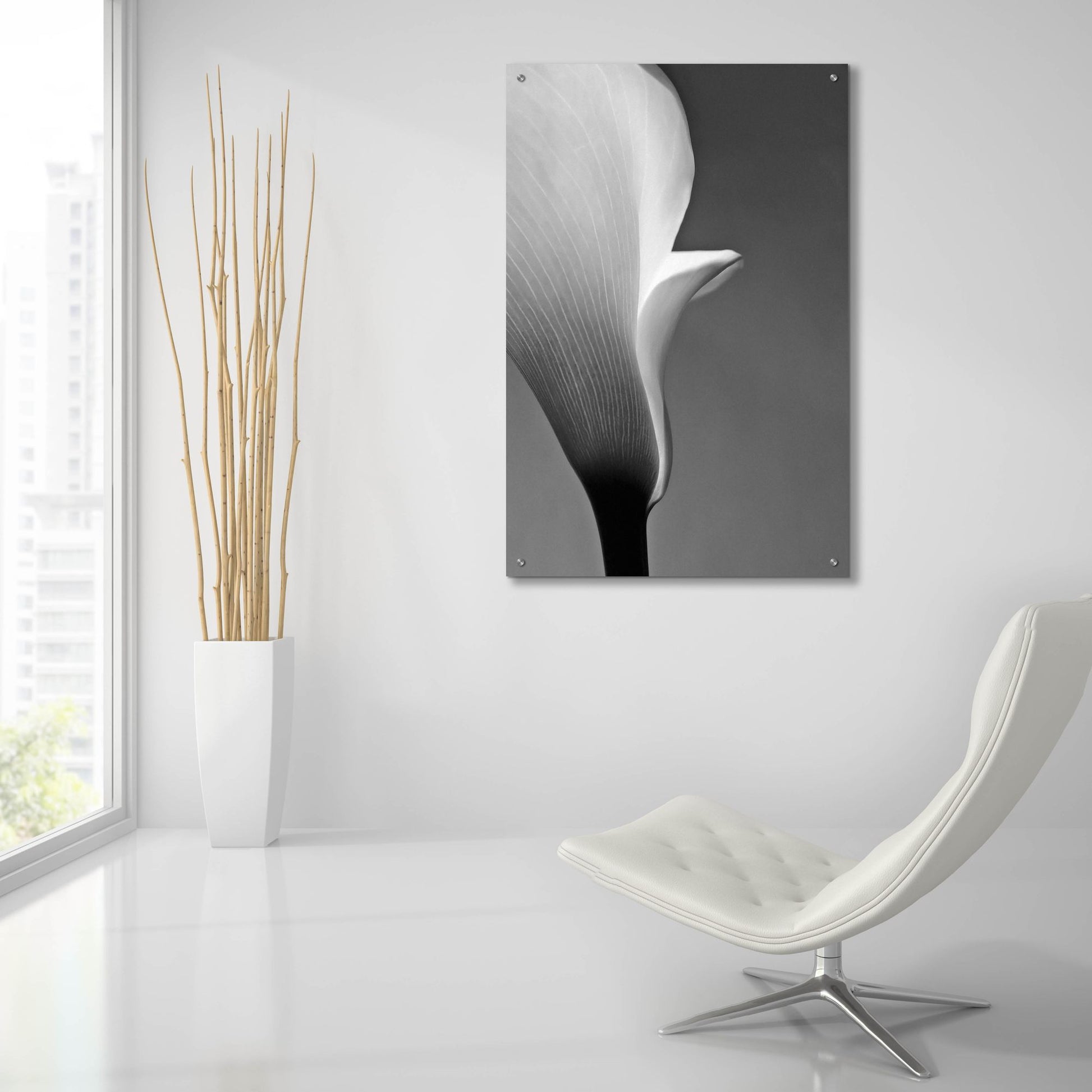Epic Art 'Calla No. 5' by Photoinc Studio, Acrylic Glass Wall Art,24x36