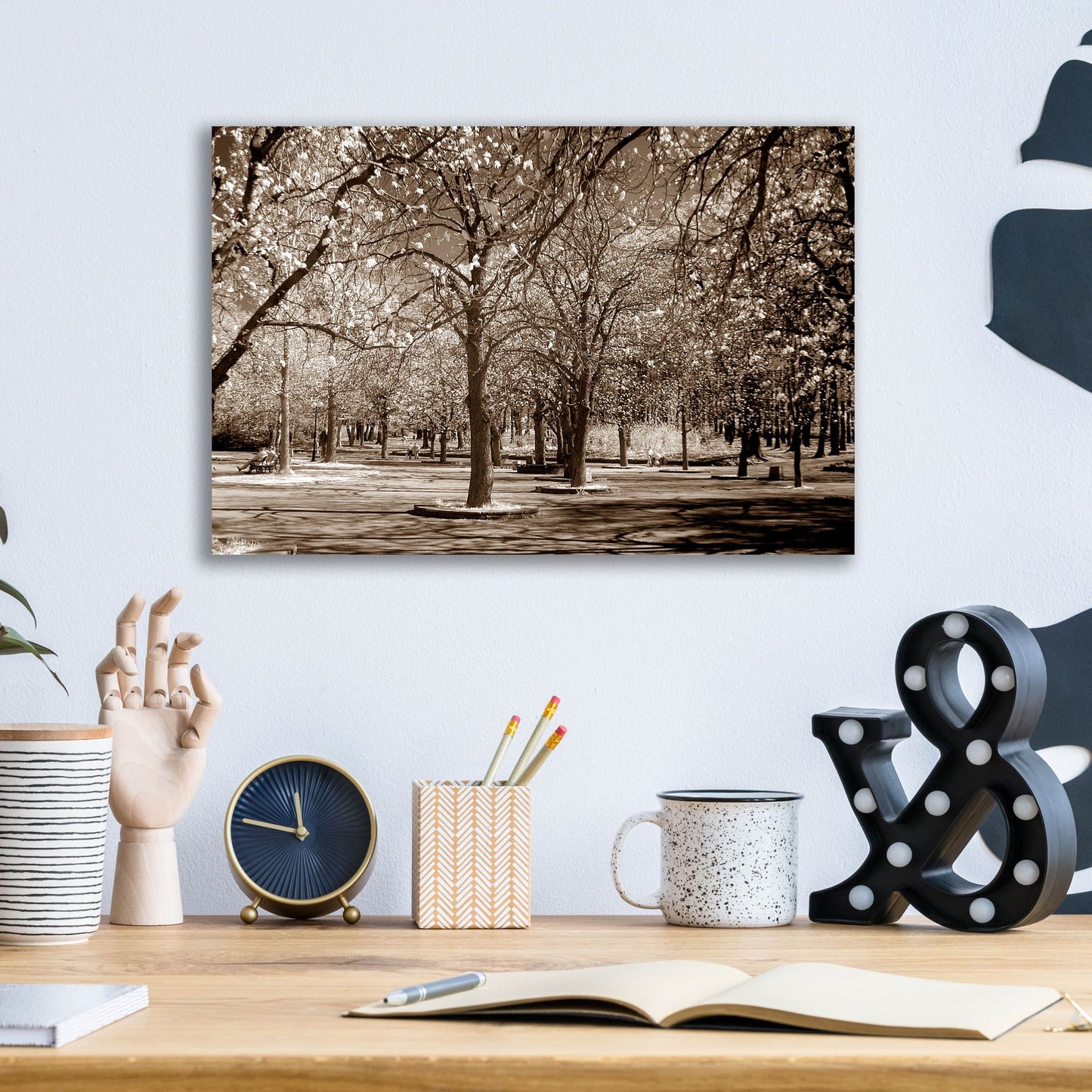 Epic Art 'Cherry Tree Park' by Photoinc Studio, Acrylic Glass Wall Art,16x12