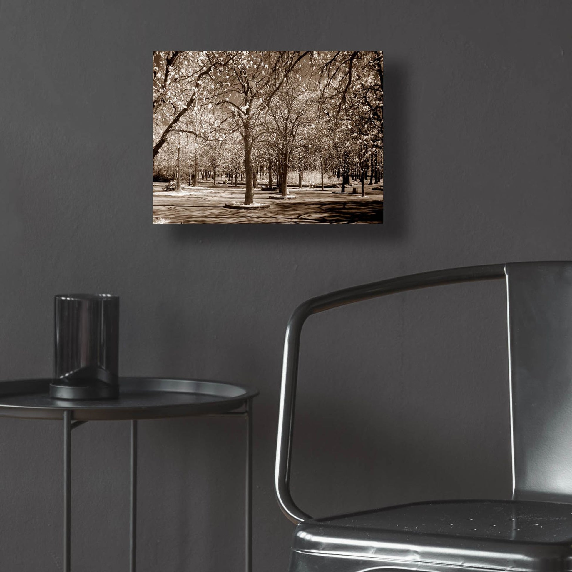 Epic Art 'Cherry Tree Park' by Photoinc Studio, Acrylic Glass Wall Art,16x12