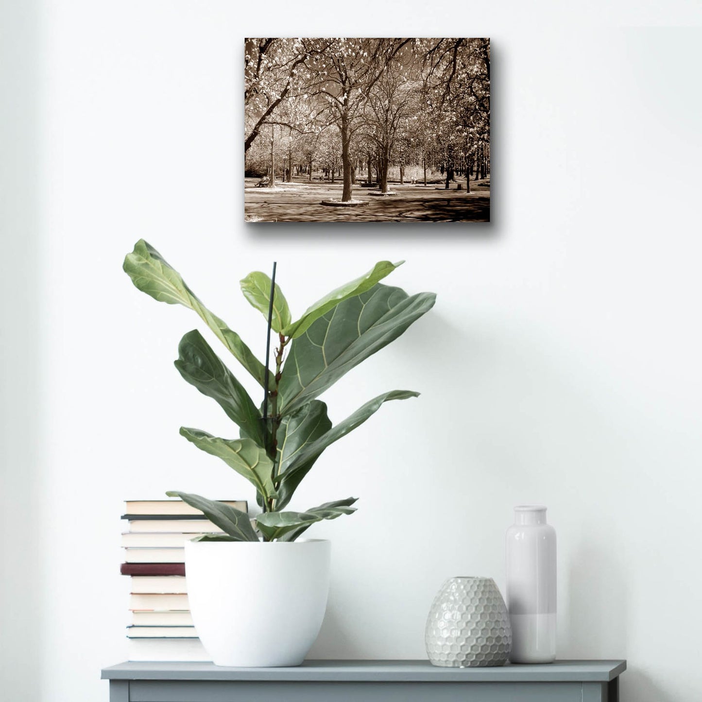 Epic Art 'Cherry Tree Park' by Photoinc Studio, Acrylic Glass Wall Art,16x12