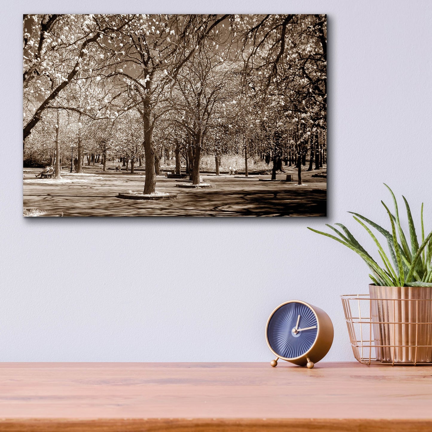 Epic Art 'Cherry Tree Park' by Photoinc Studio, Acrylic Glass Wall Art,16x12