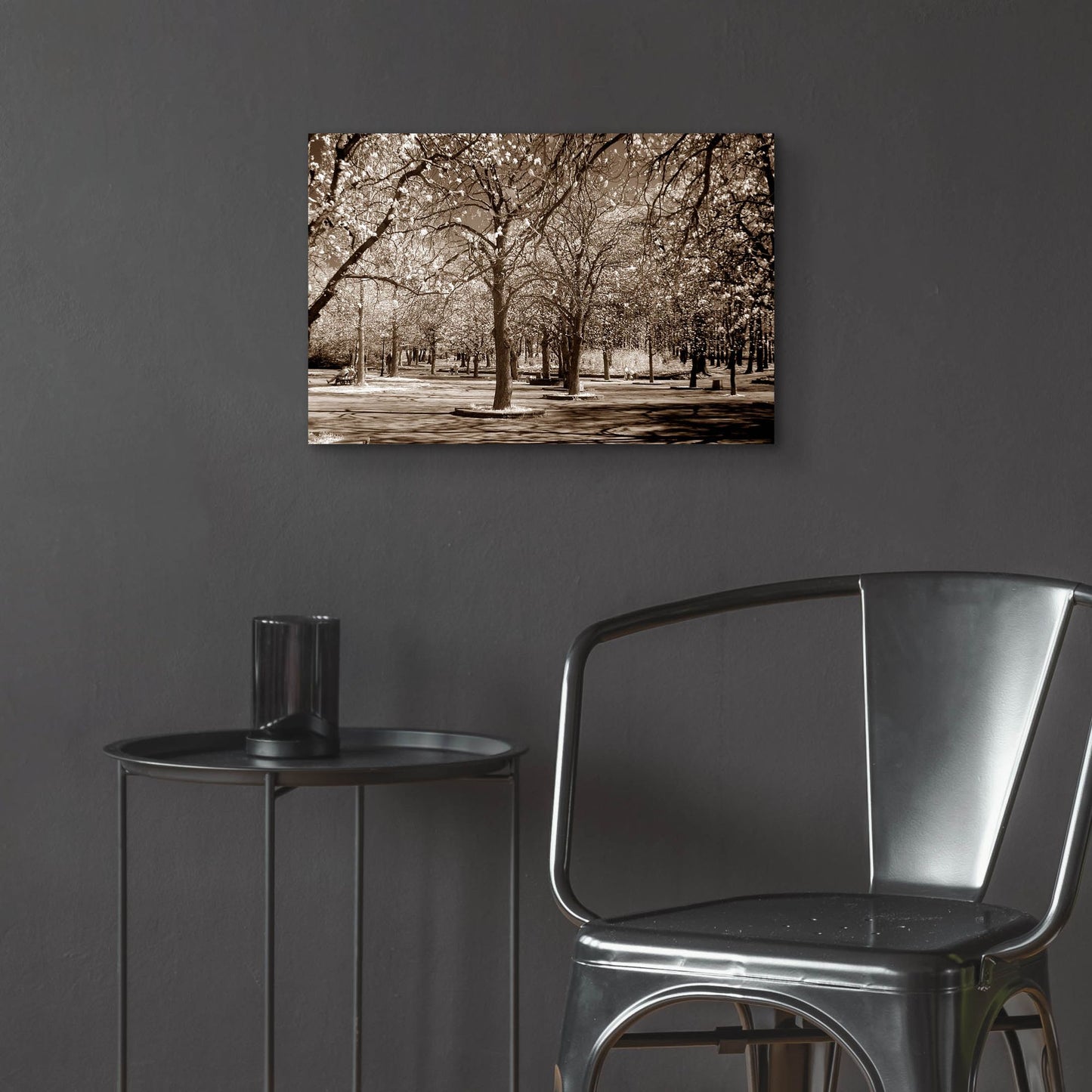 Epic Art 'Cherry Tree Park' by Photoinc Studio, Acrylic Glass Wall Art,24x16