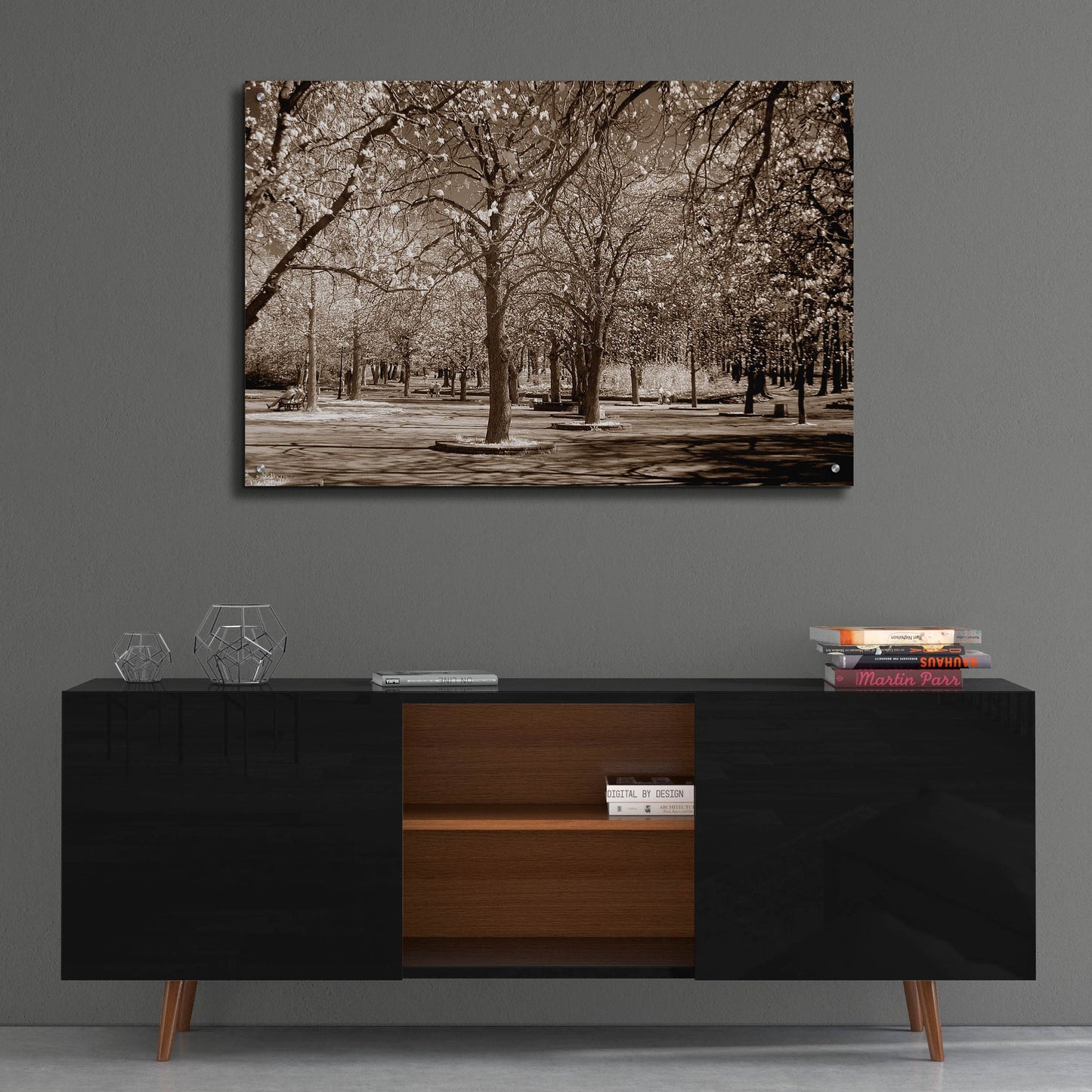 Epic Art 'Cherry Tree Park' by Photoinc Studio, Acrylic Glass Wall Art,36x24