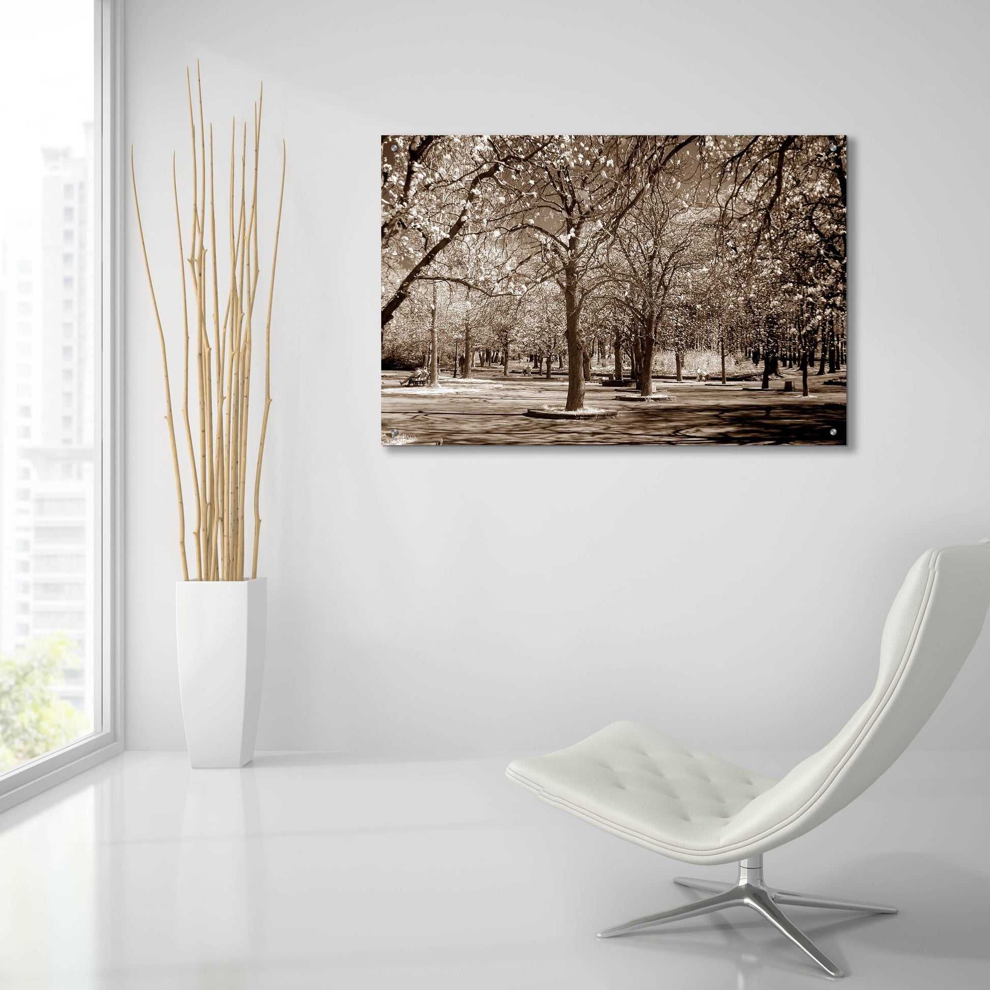 Epic Art 'Cherry Tree Park' by Photoinc Studio, Acrylic Glass Wall Art,36x24