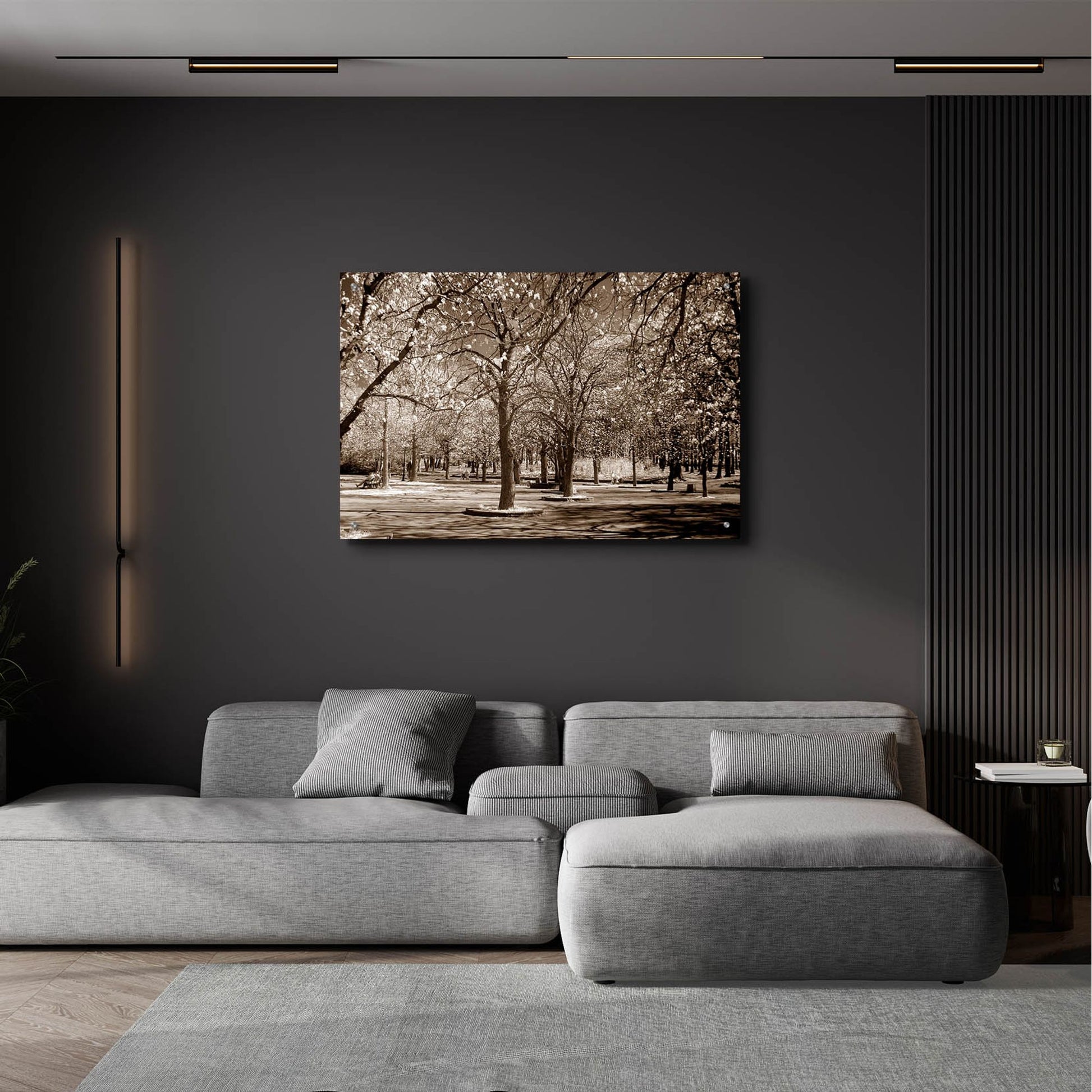 Epic Art 'Cherry Tree Park' by Photoinc Studio, Acrylic Glass Wall Art,36x24