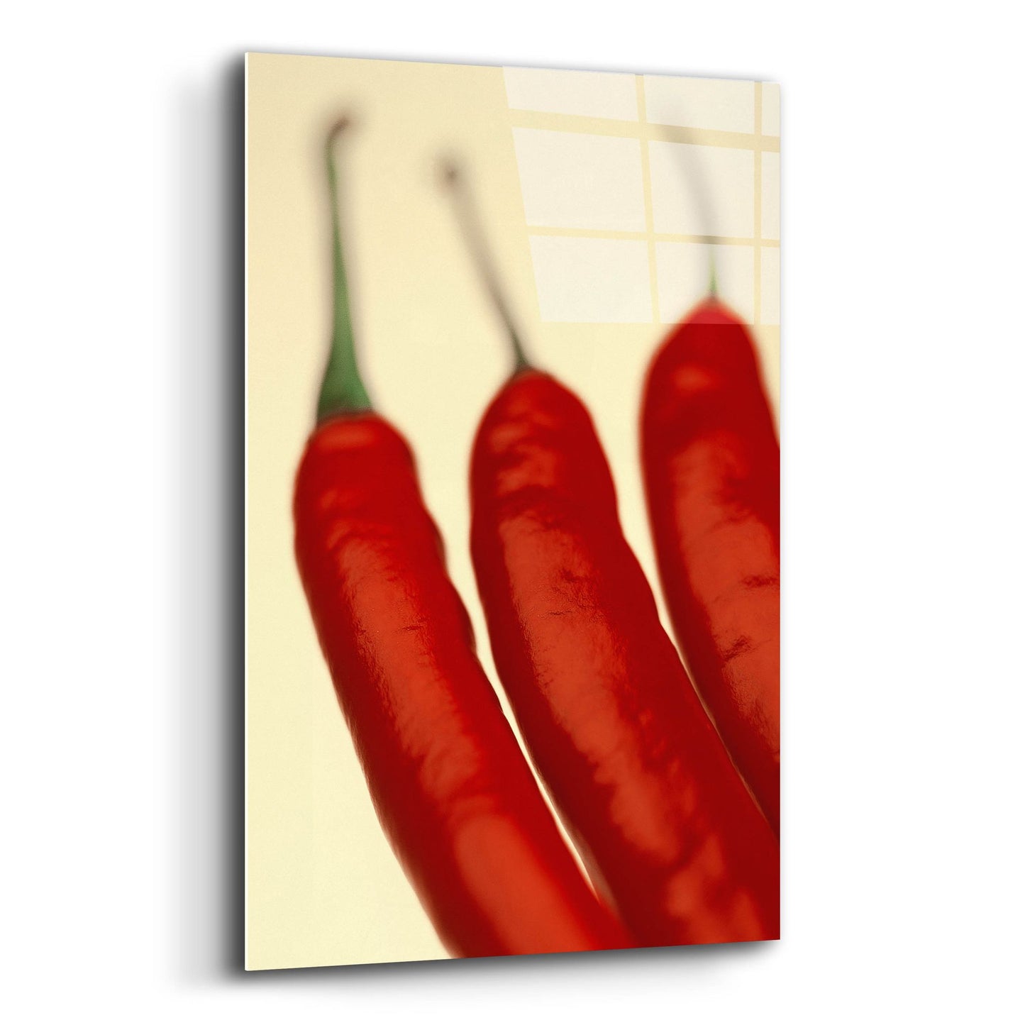 Epic Art 'Chili' by Photoinc Studio, Acrylic Glass Wall Art,12x16