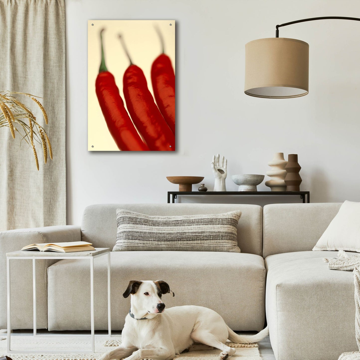 Epic Art 'Chili' by Photoinc Studio, Acrylic Glass Wall Art,24x36