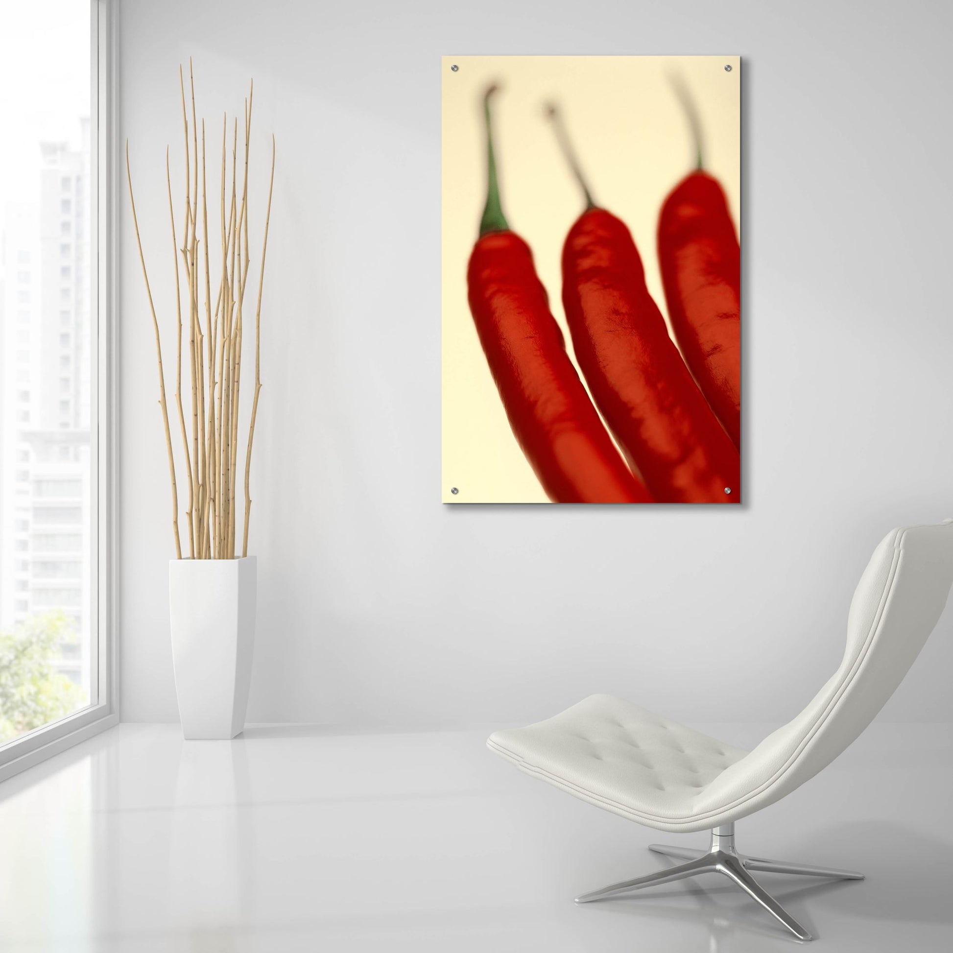 Epic Art 'Chili' by Photoinc Studio, Acrylic Glass Wall Art,24x36