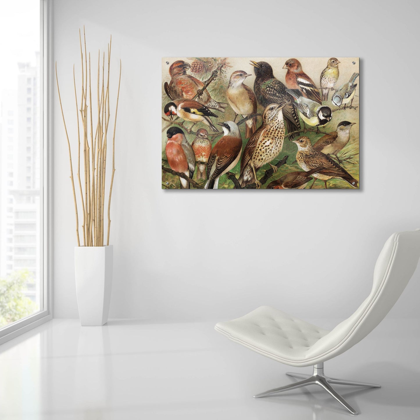 Epic Art 'Collection I' by Photoinc Studio, Acrylic Glass Wall Art,36x24