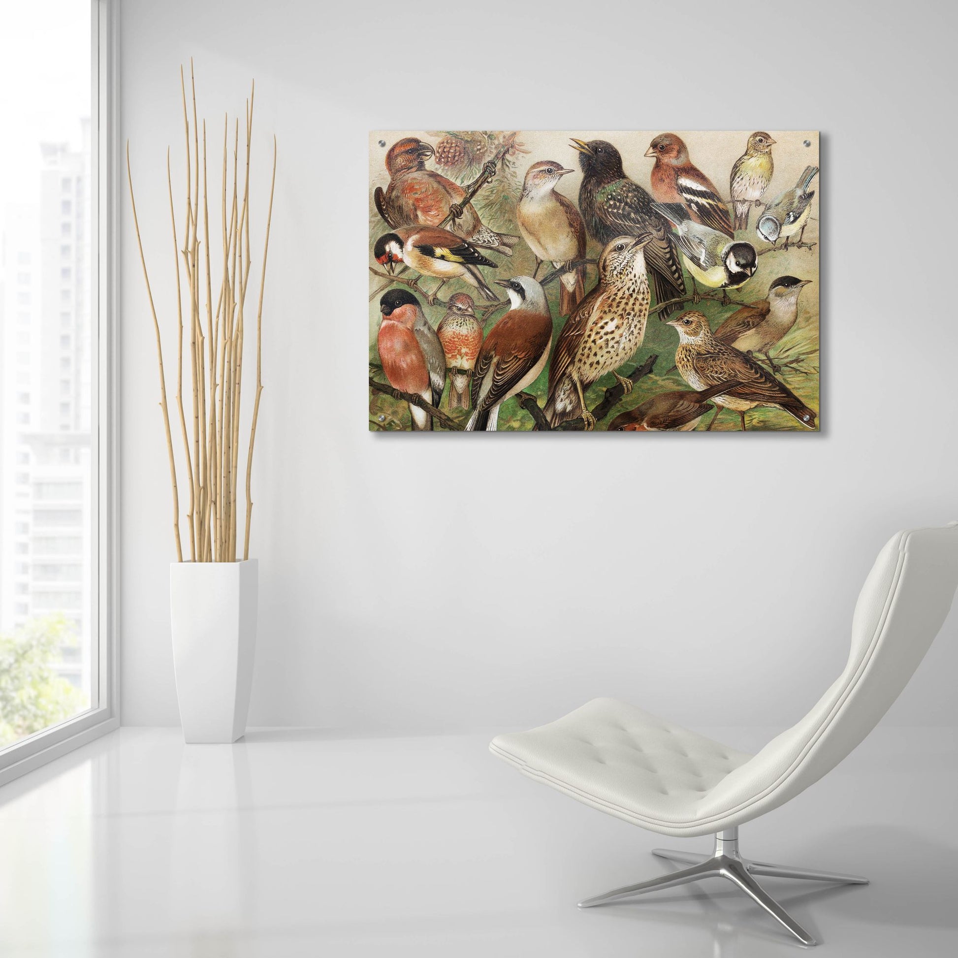 Epic Art 'Collection I' by Photoinc Studio, Acrylic Glass Wall Art,36x24