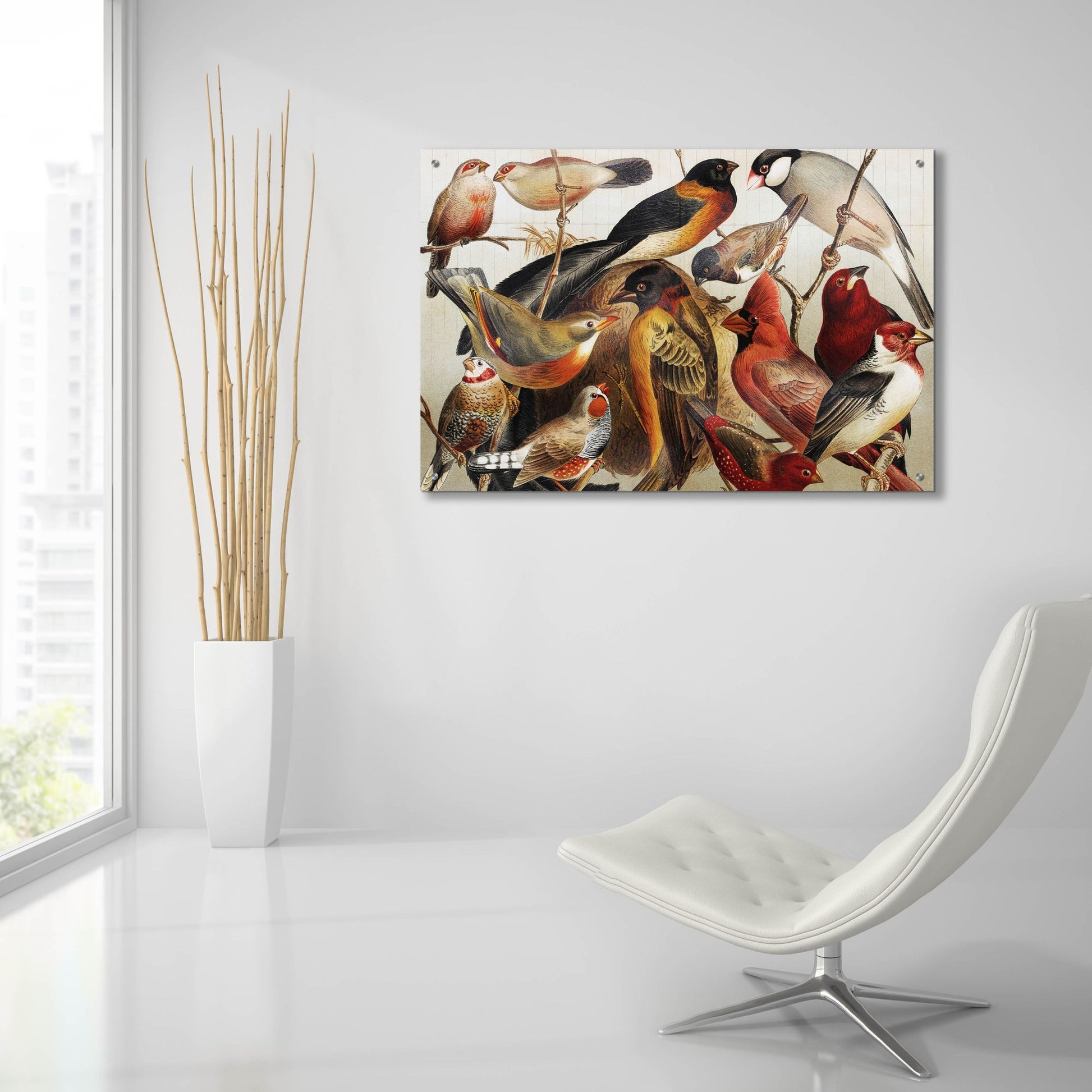 Epic Art 'Collection Ii' by Photoinc Studio, Acrylic Glass Wall Art,36x24