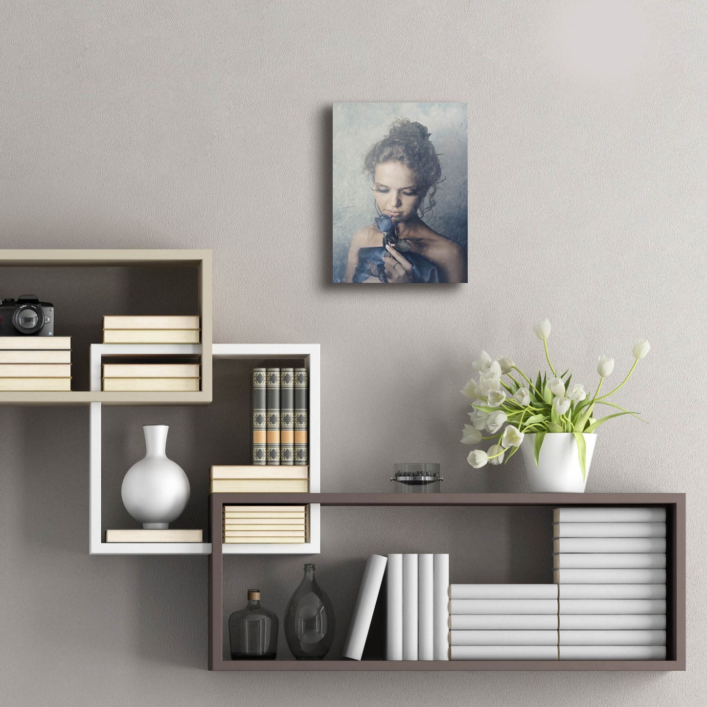 Epic Art 'Dark Rose' by Photoinc Studio, Acrylic Glass Wall Art,12x16