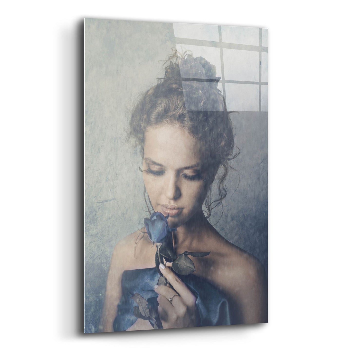 Epic Art 'Dark Rose' by Photoinc Studio, Acrylic Glass Wall Art,16x24
