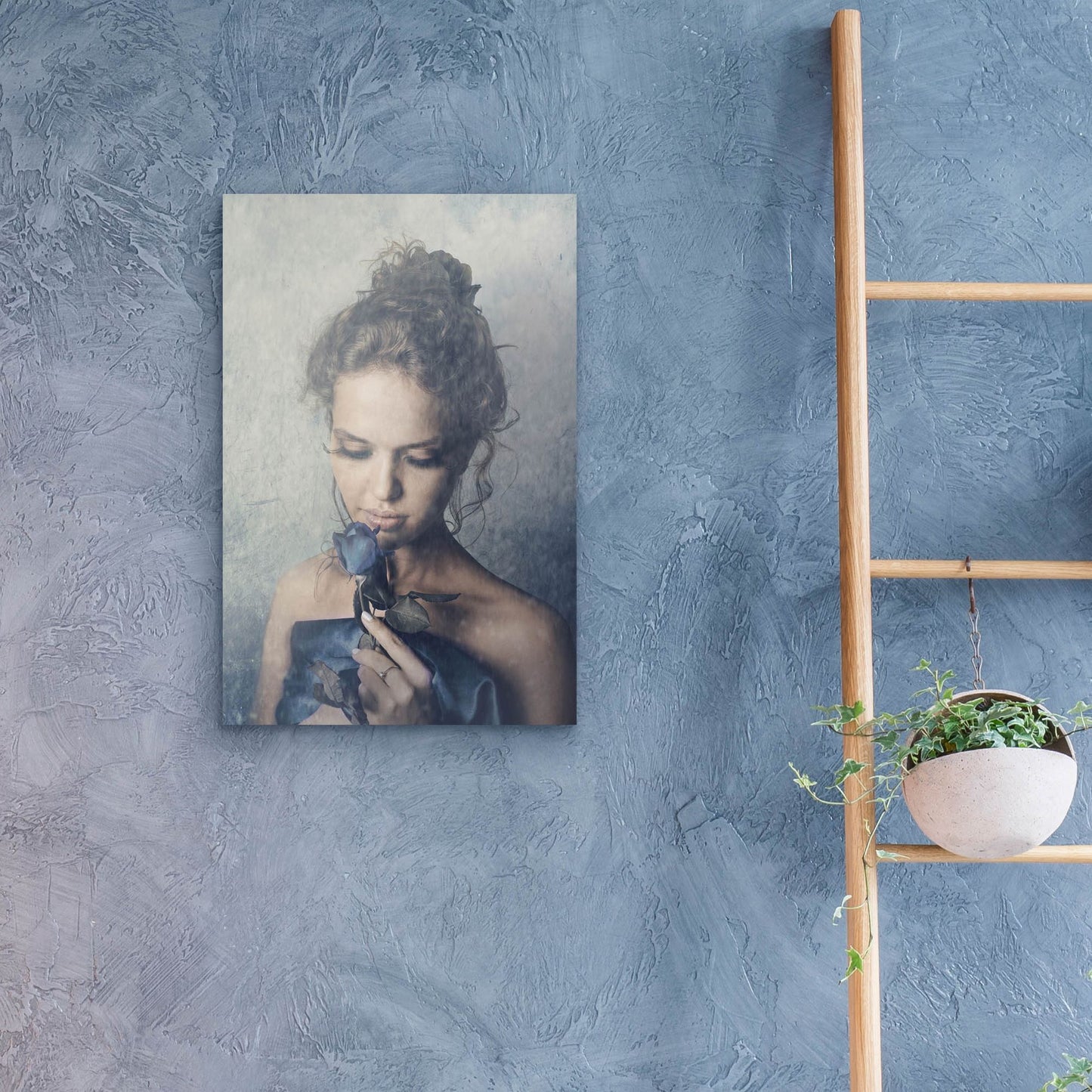 Epic Art 'Dark Rose' by Photoinc Studio, Acrylic Glass Wall Art,16x24