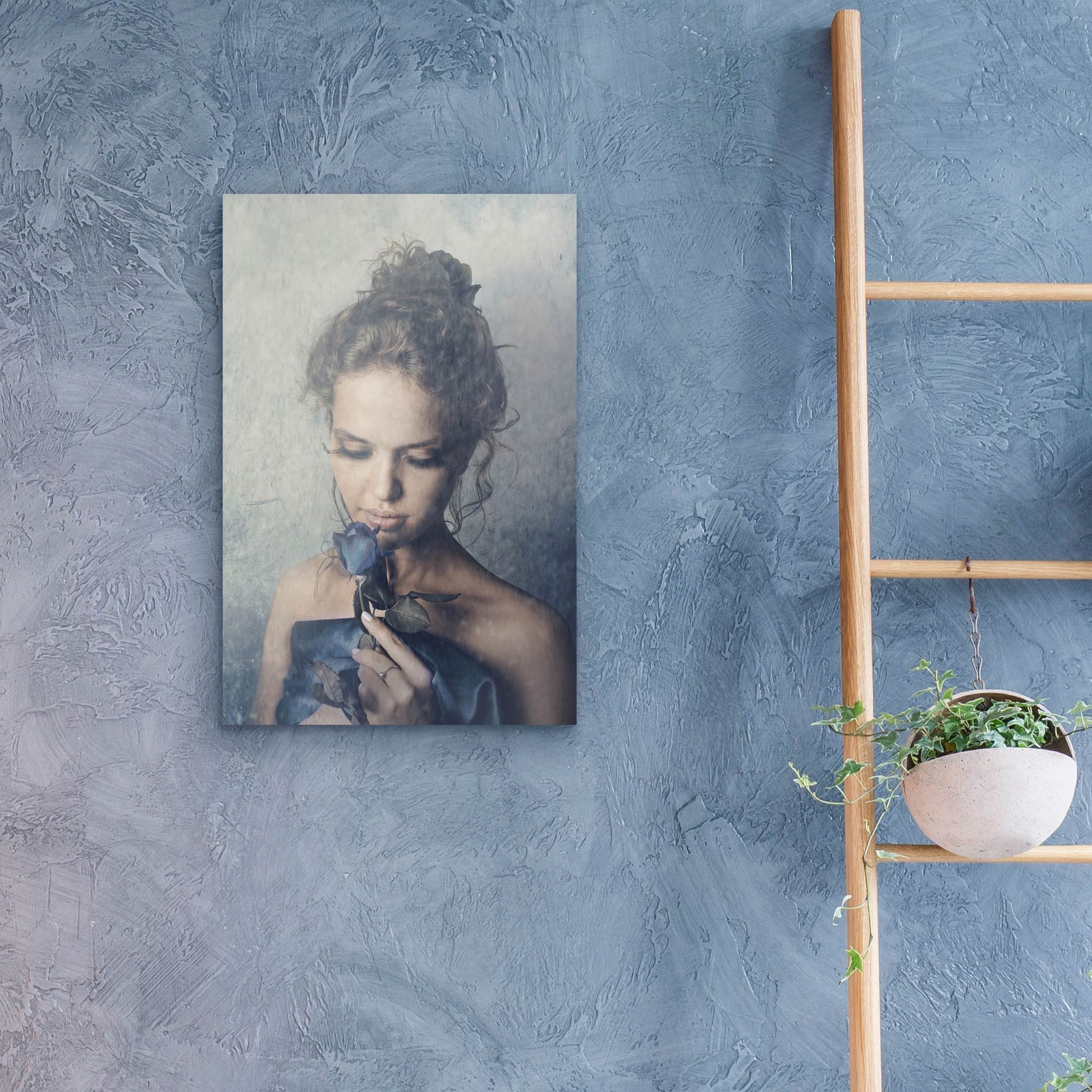 Epic Art 'Dark Rose' by Photoinc Studio, Acrylic Glass Wall Art,16x24