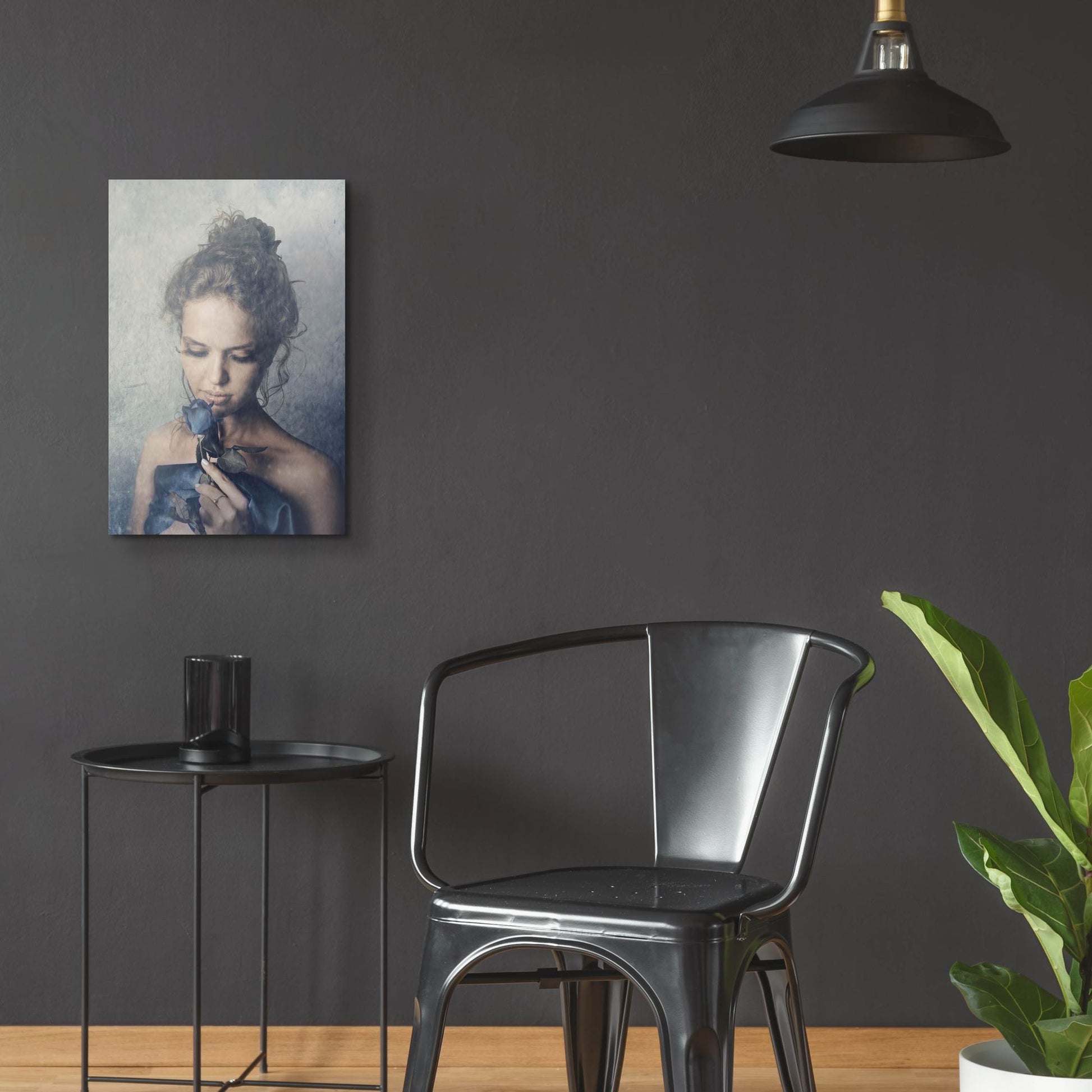 Epic Art 'Dark Rose' by Photoinc Studio, Acrylic Glass Wall Art,16x24