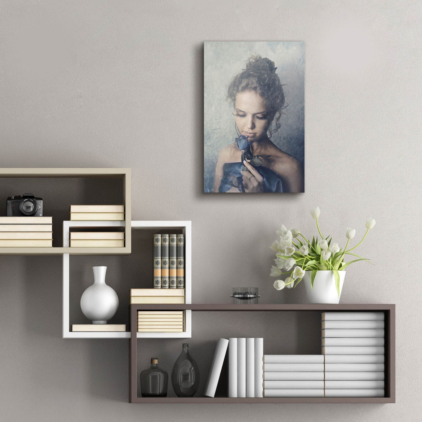 Epic Art 'Dark Rose' by Photoinc Studio, Acrylic Glass Wall Art,16x24